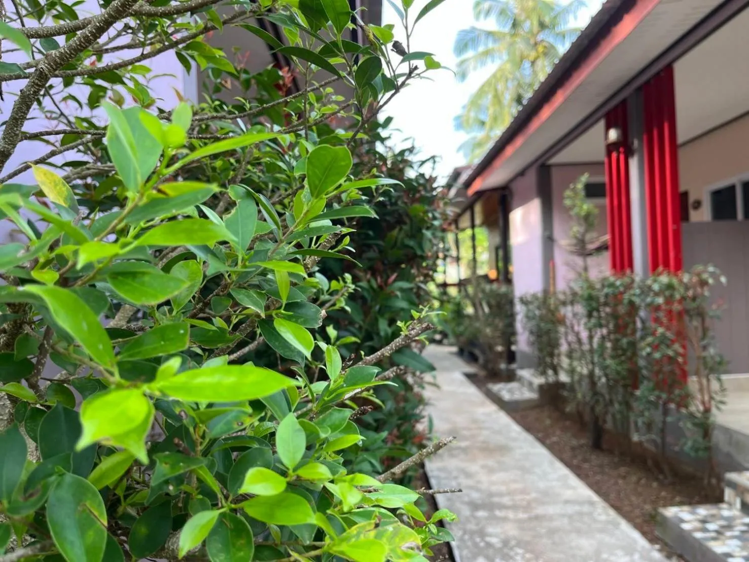 Property building in O k Chawkoh Bungalow