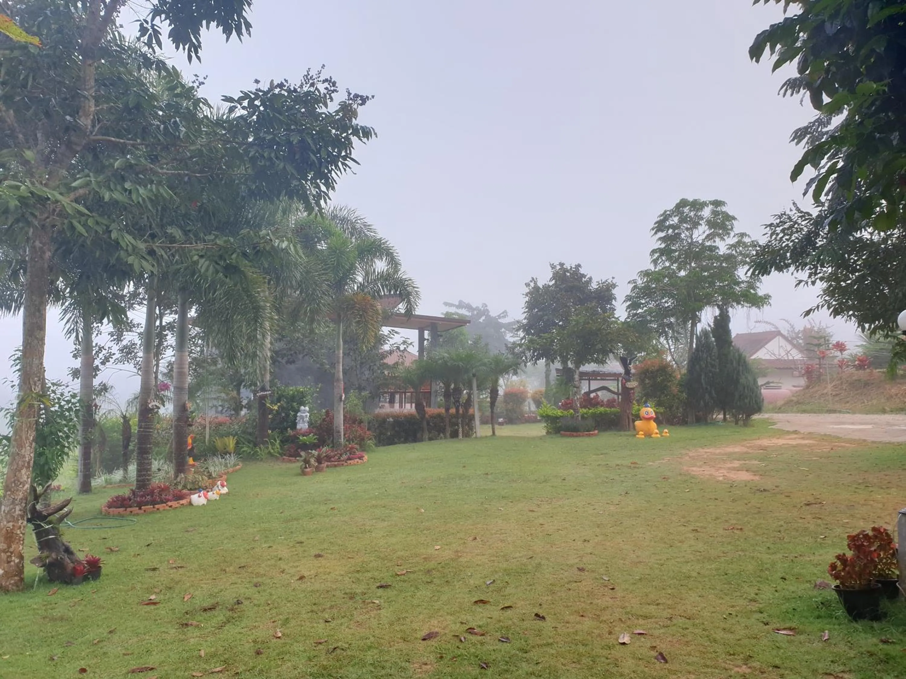 Garden in Khao Kho Lucky Hill Resort