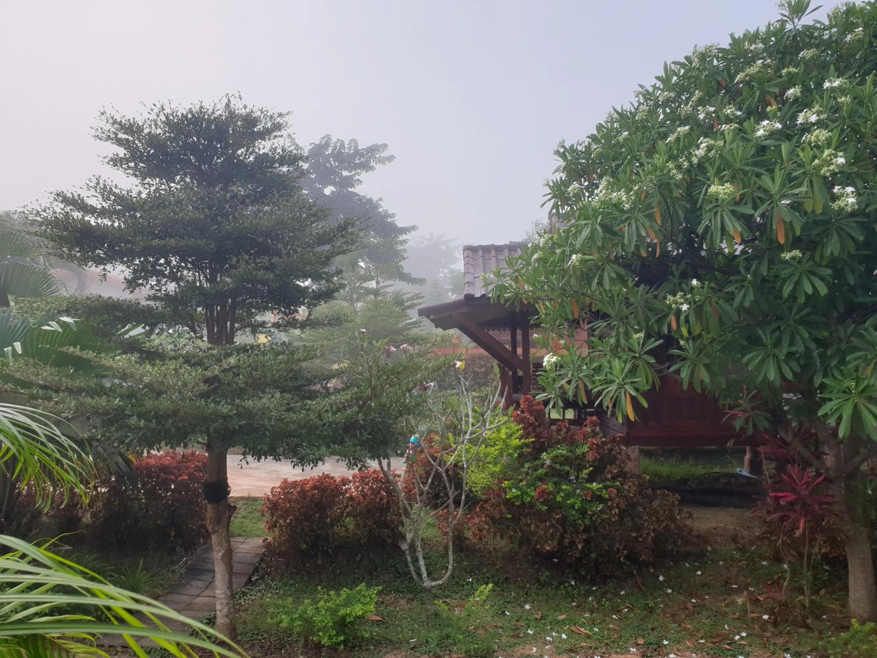 Natural landscape in Khao Kho Lucky Hill Resort