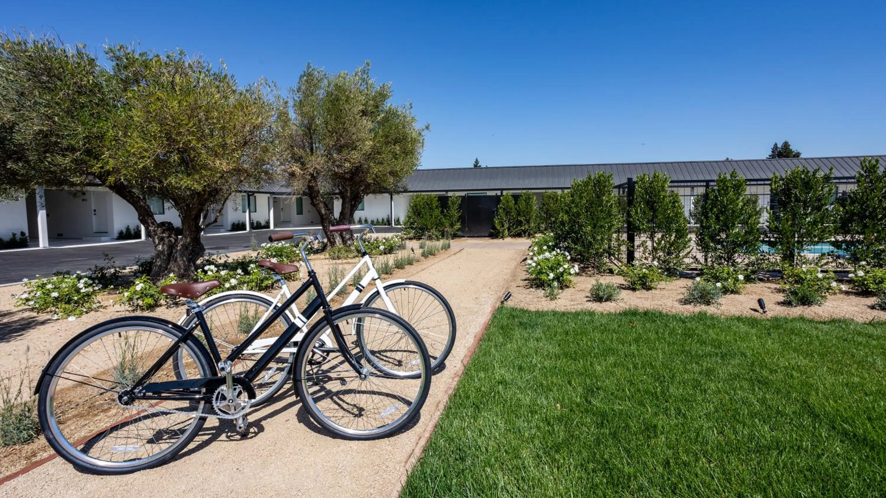 Cycling in Hotel Bayit