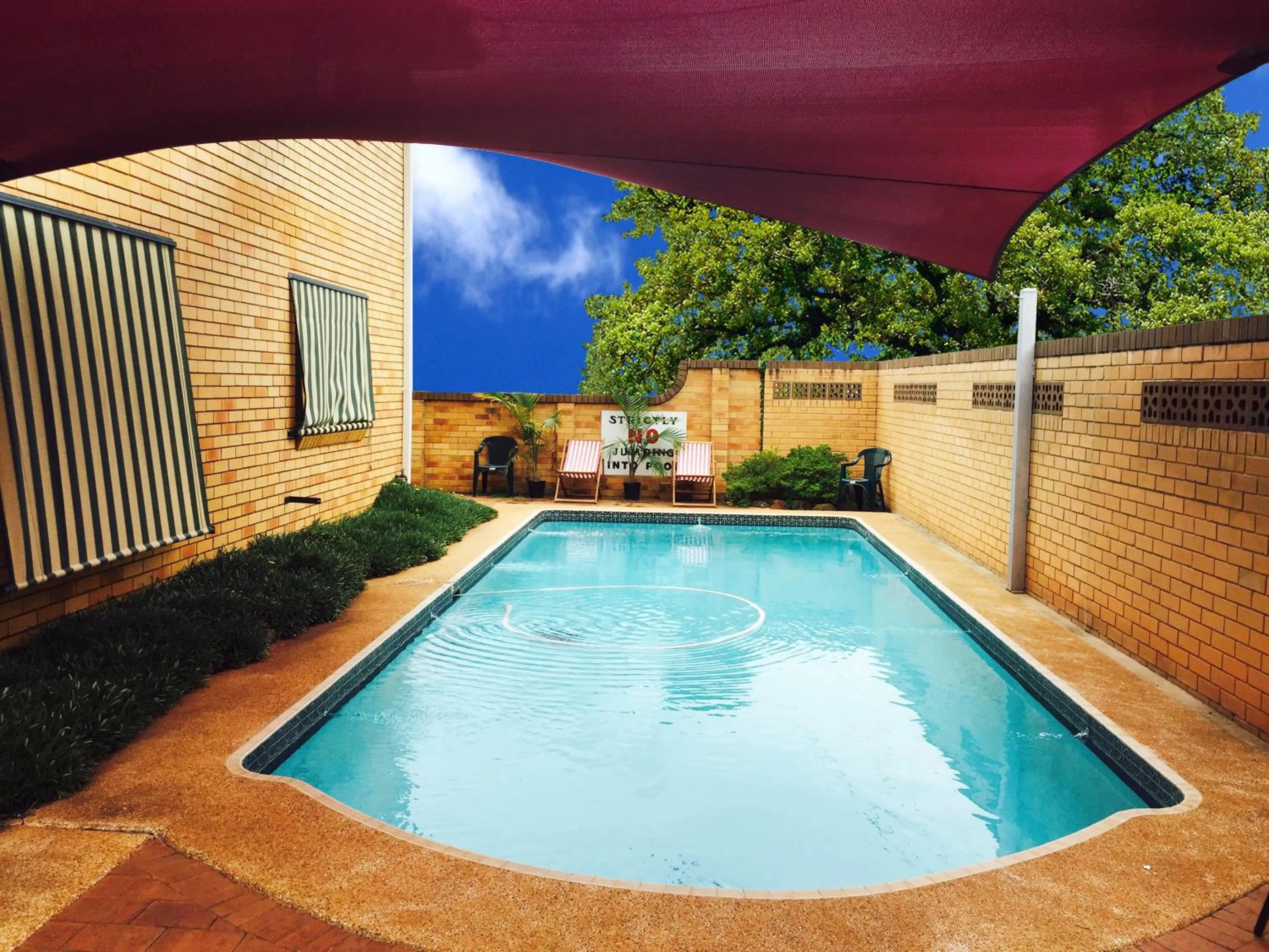 Pool view in Civic Motel Grafton