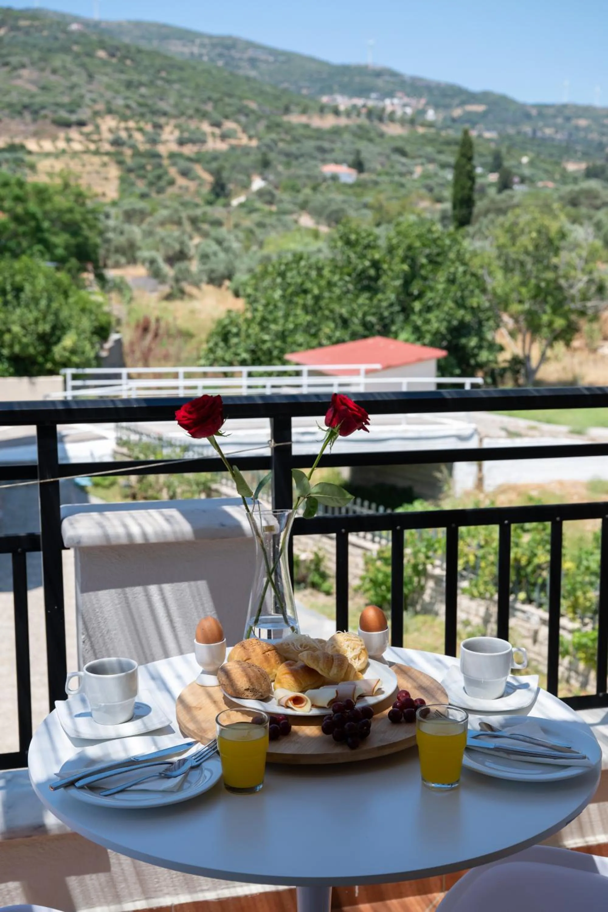 Natural landscape in So Nice Hotel