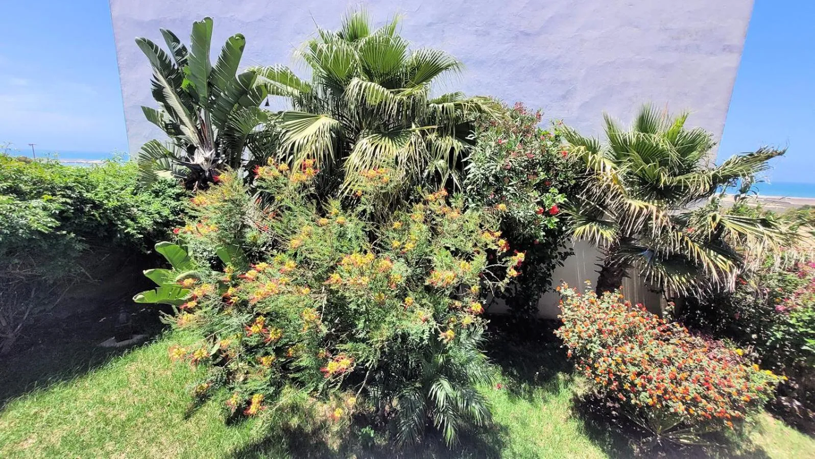 Garden in Maison de la Lagune