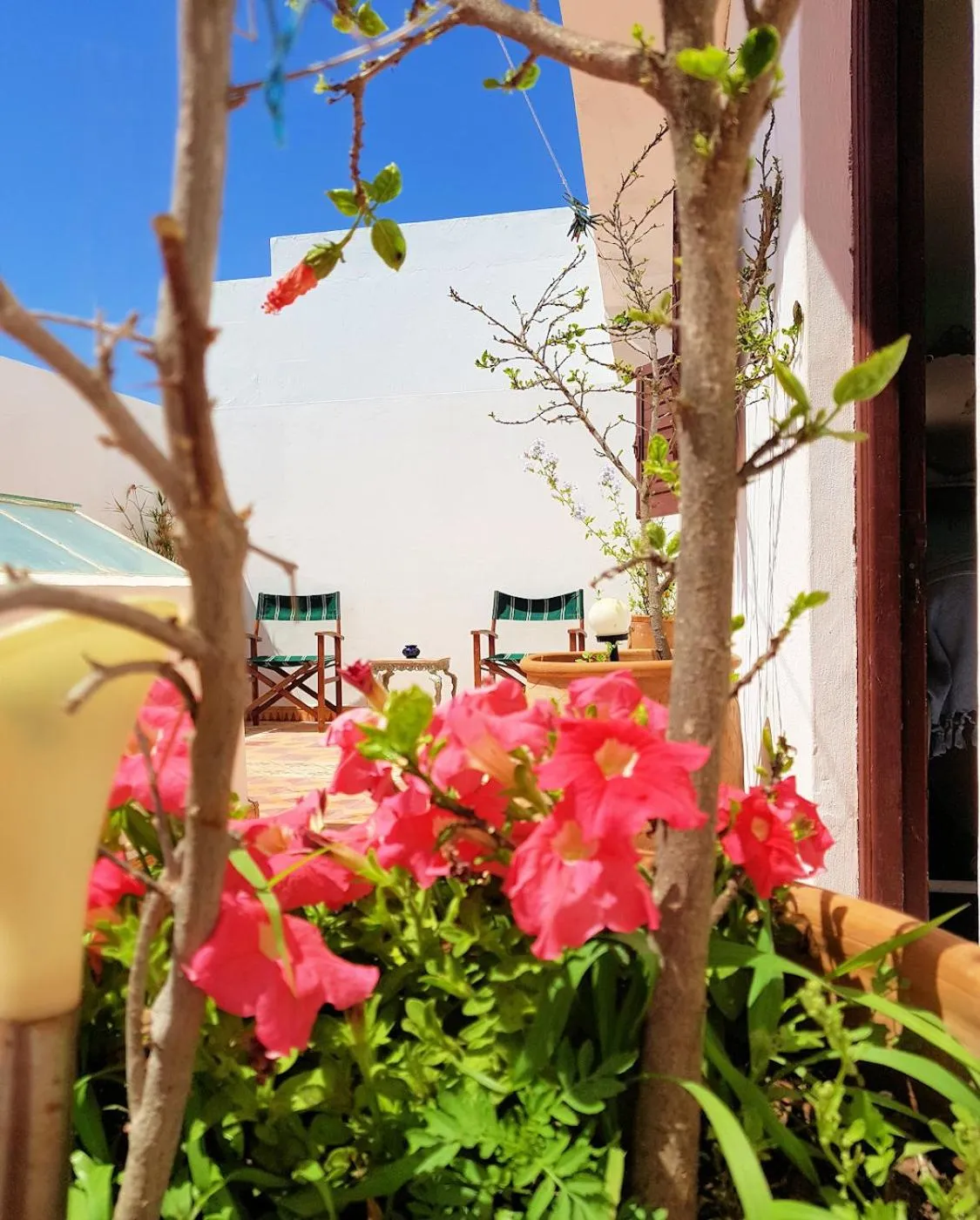Patio in Maison de la Lagune