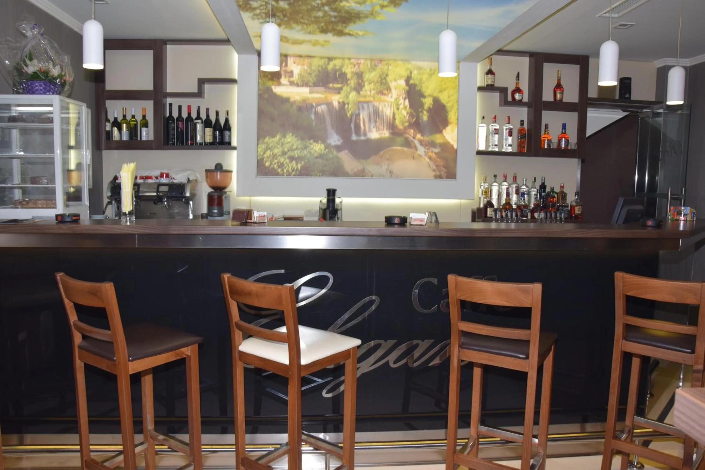 TV and multimedia in Hotel Elegance