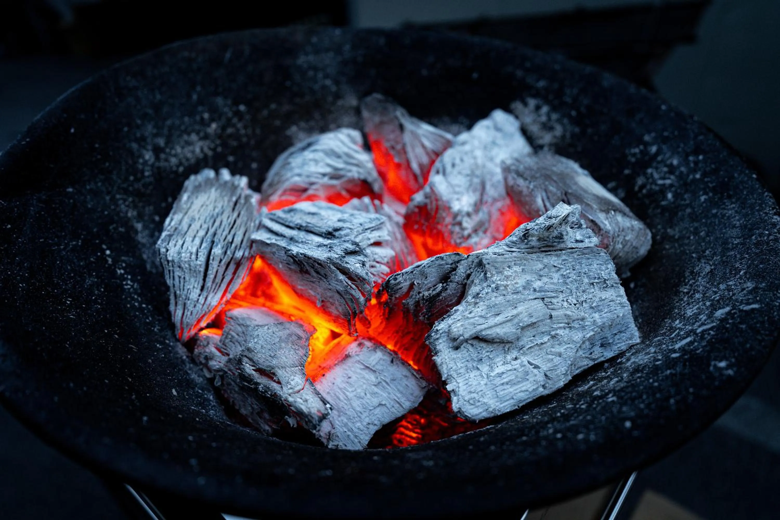 BBQ facilities in Le comte bleu