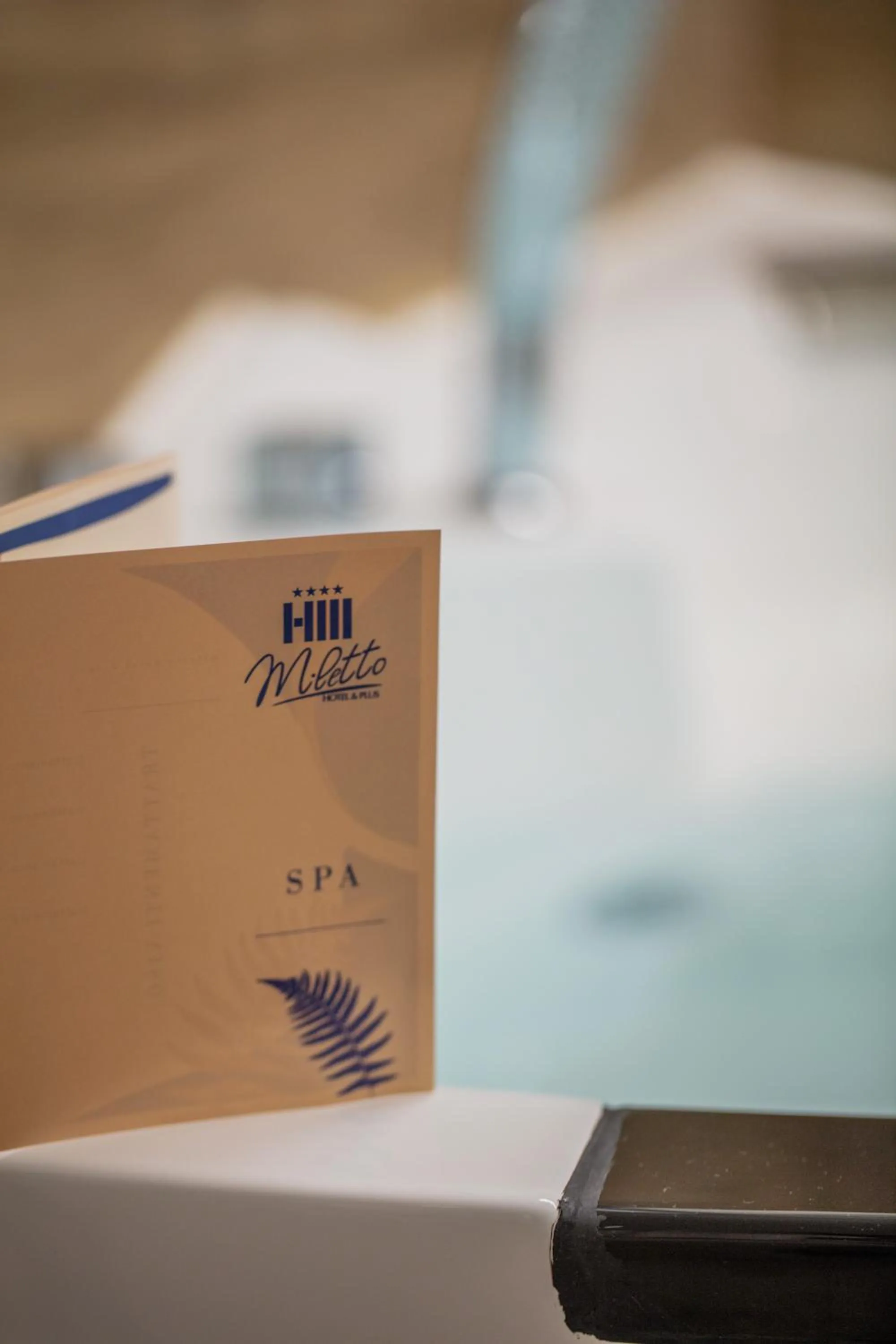 Decorative detail in Hotel Miletto