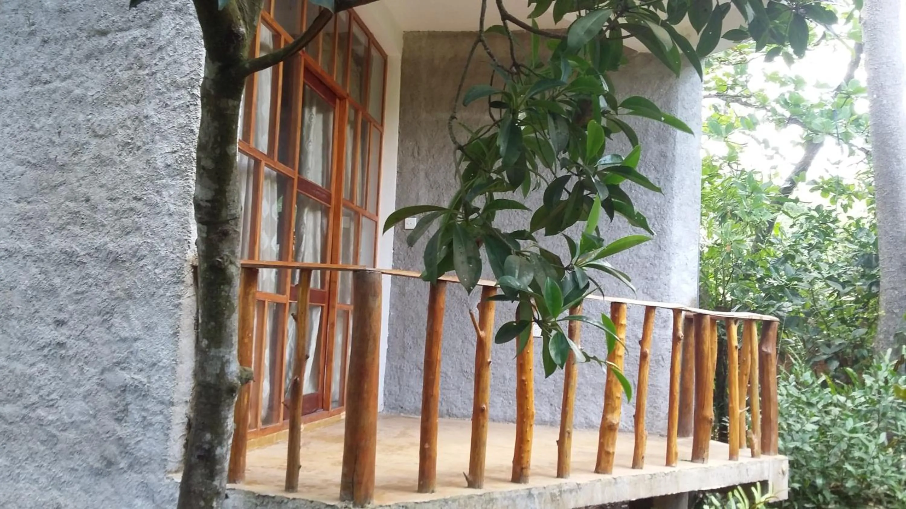 Balcony/Terrace in Seasons Four Mini Jungle Cabana