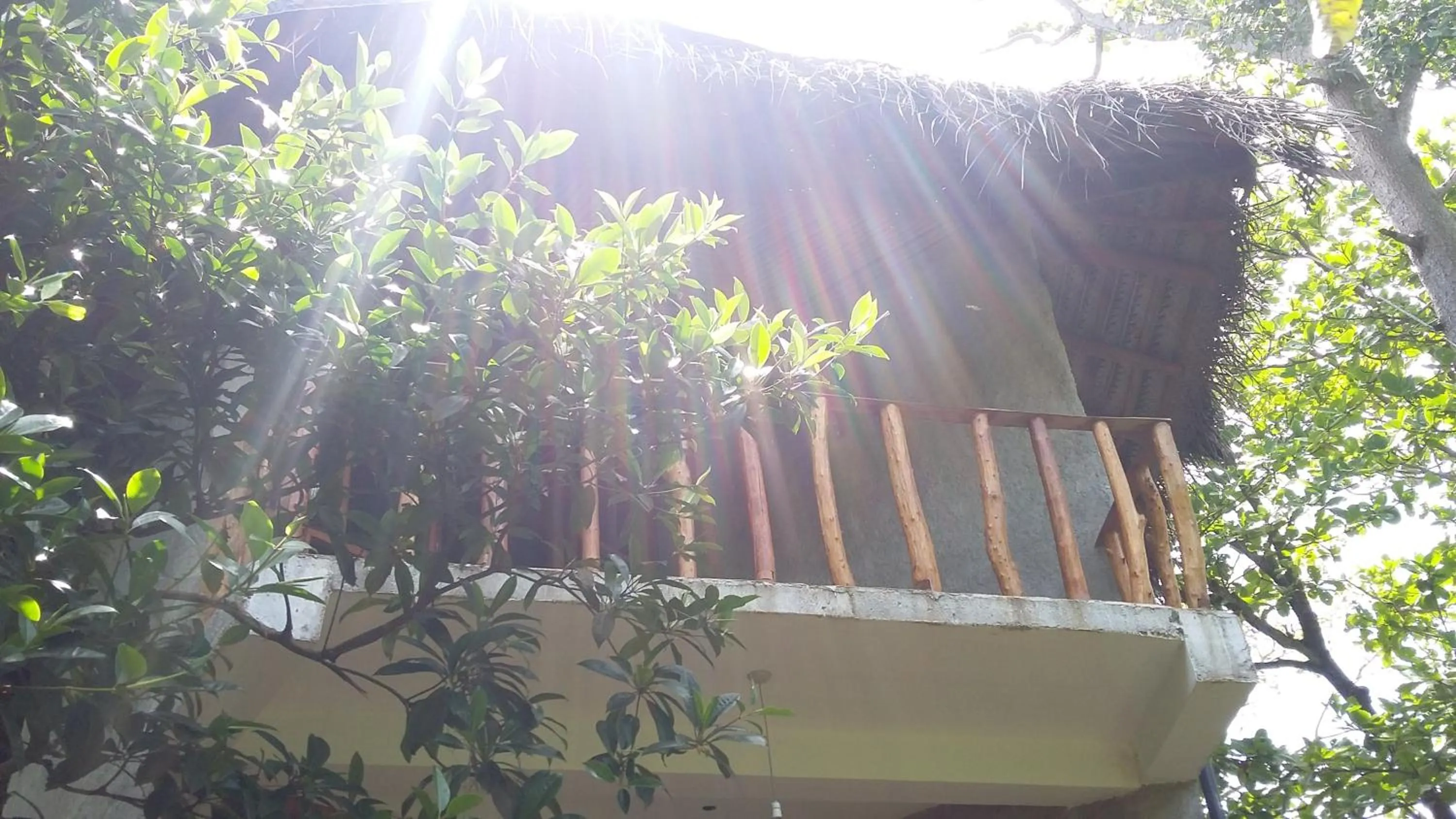 Property building in Seasons Four Mini Jungle Cabana