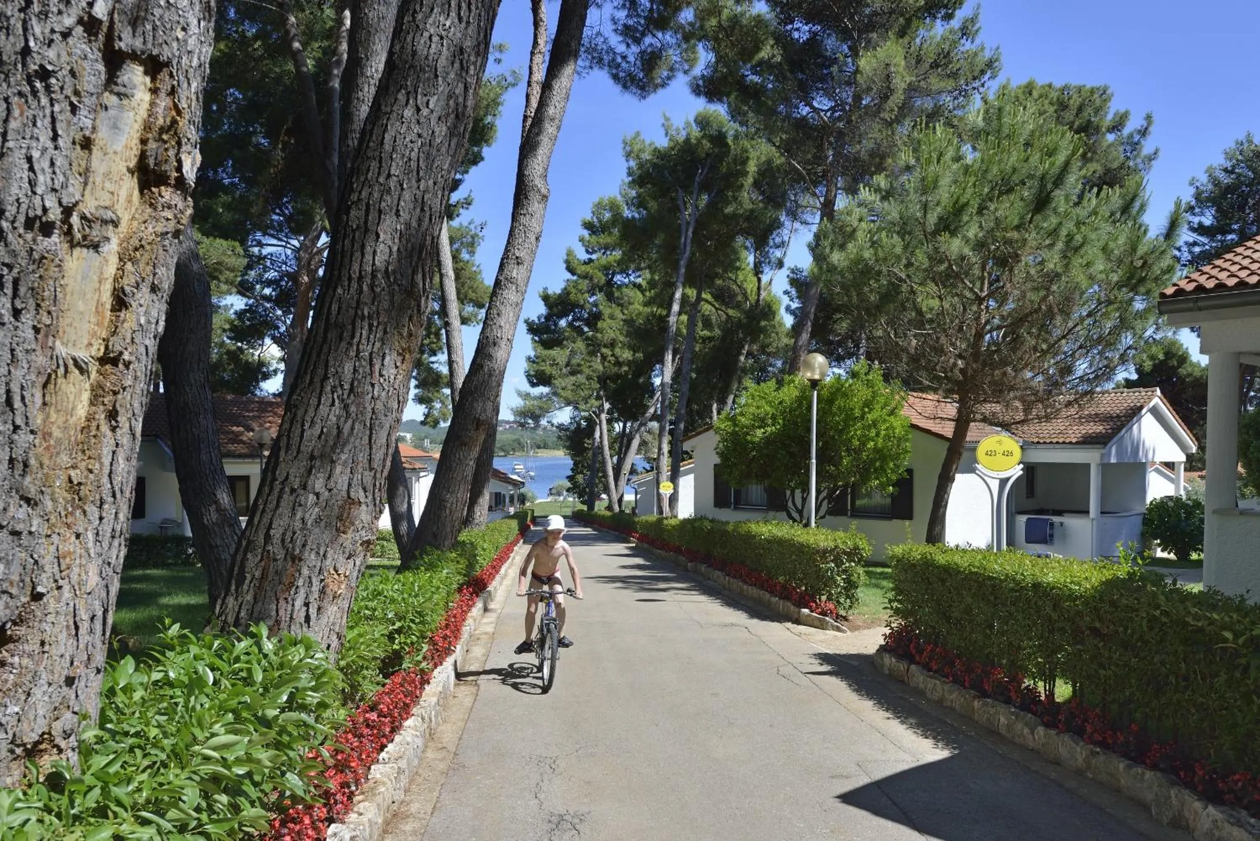 Area and facilities in Apartments Galijot Plava Laguna