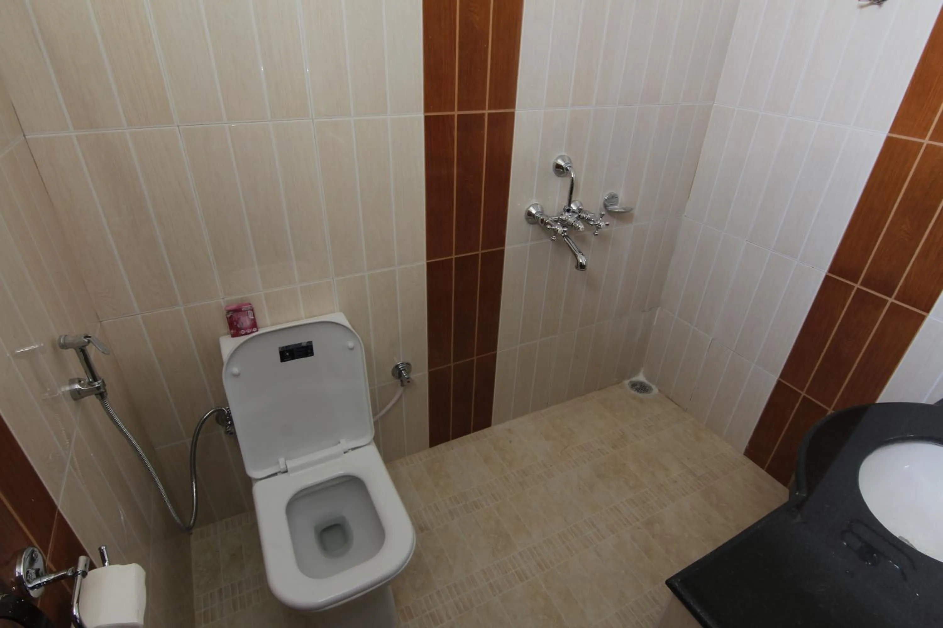 Shower in Hotel Adam