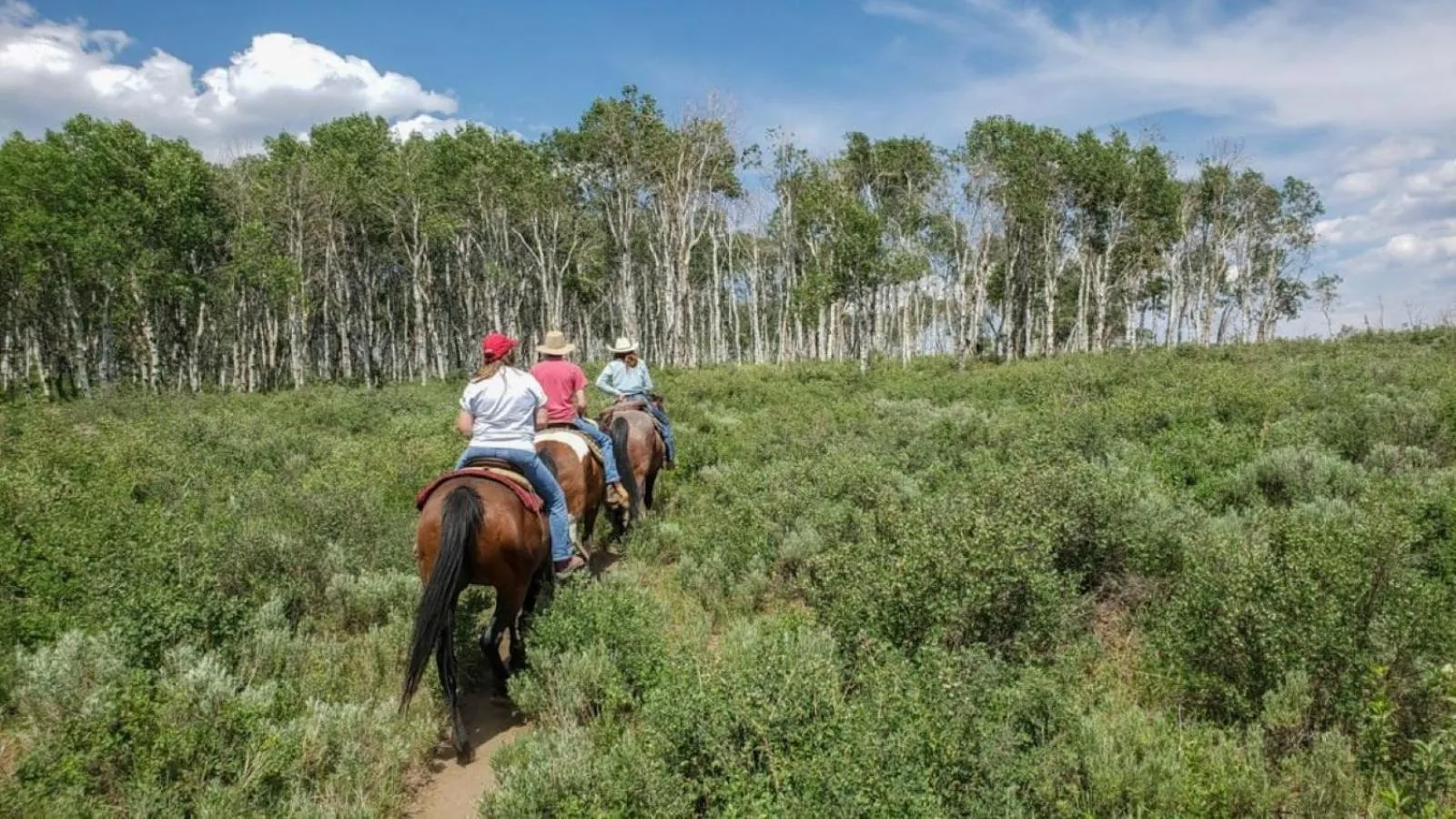 Horse-riding in Western Lodge
