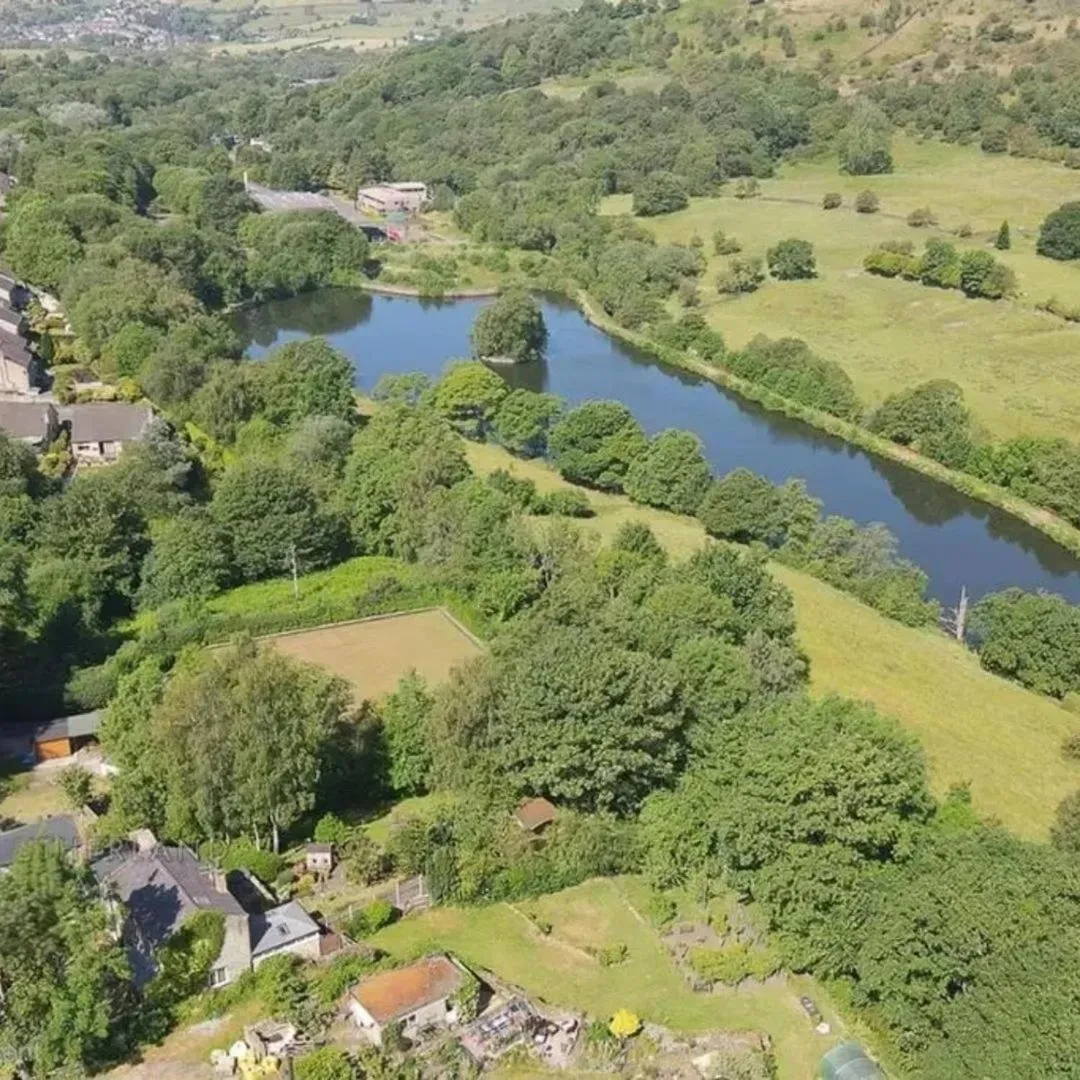 Other in The Waltzing Weasel