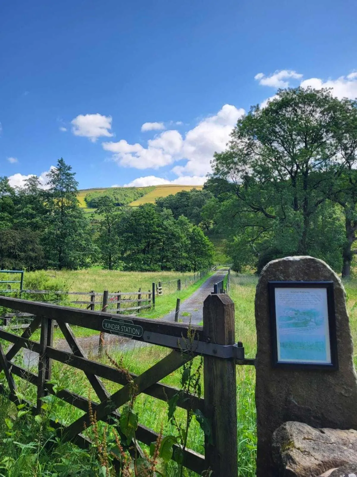 Natural landscape in The Waltzing Weasel