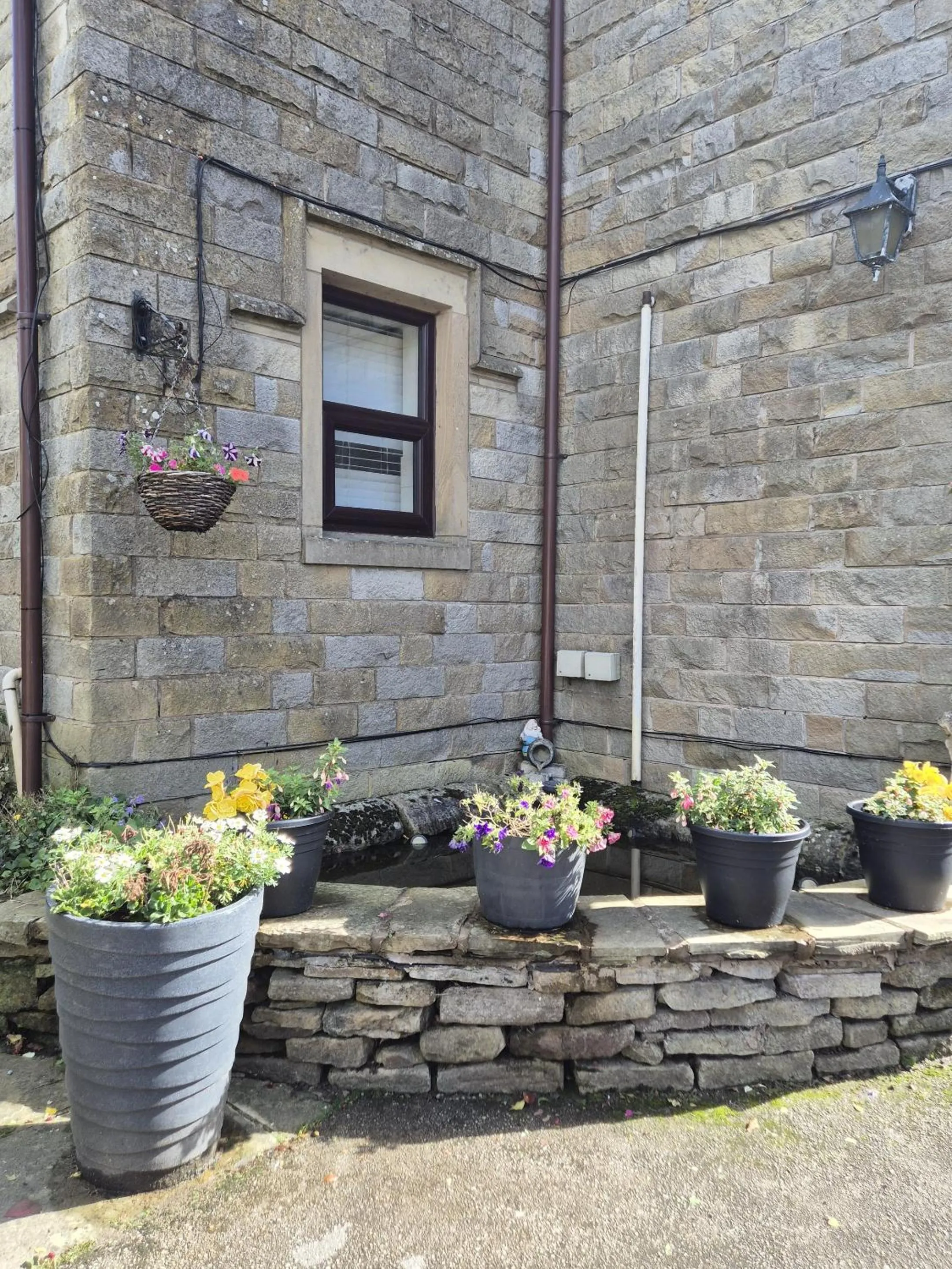 Other in The Waltzing Weasel