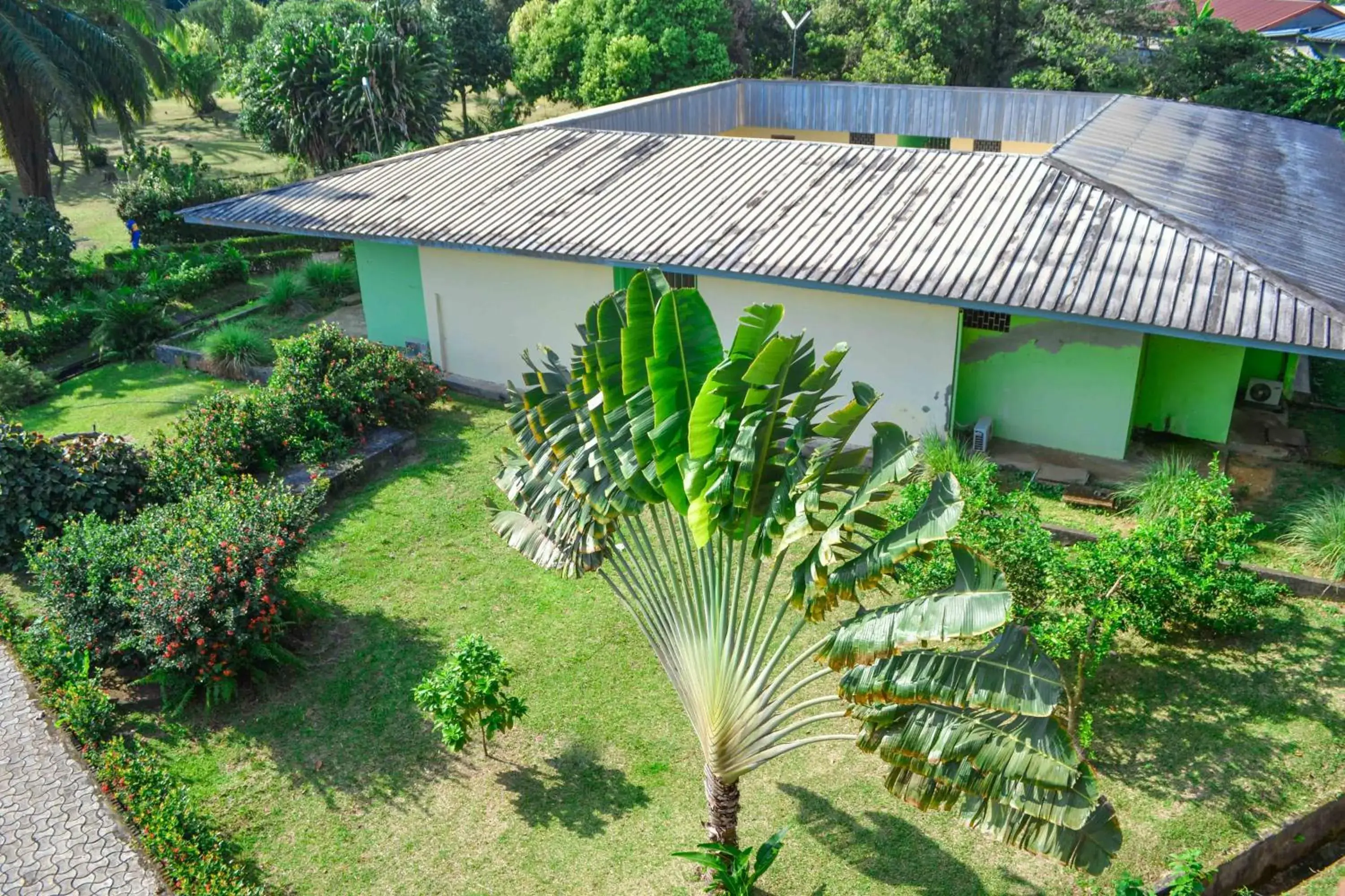 Double Room with Garden View in Hôtel Framotel Kribi Double Room with Garden View in Hôtel Framotel Kribi