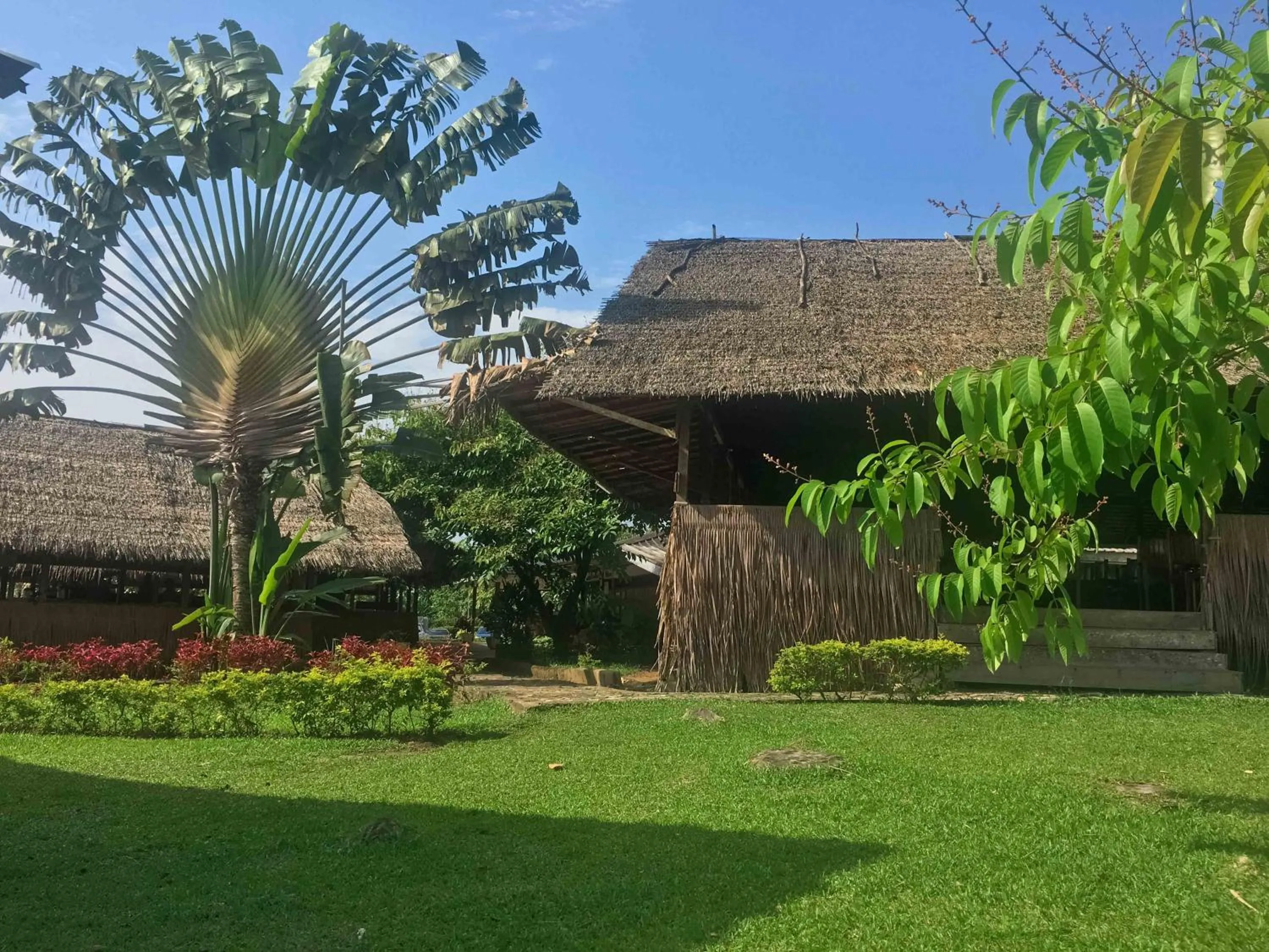 Garden in Hôtel Framotel Kribi