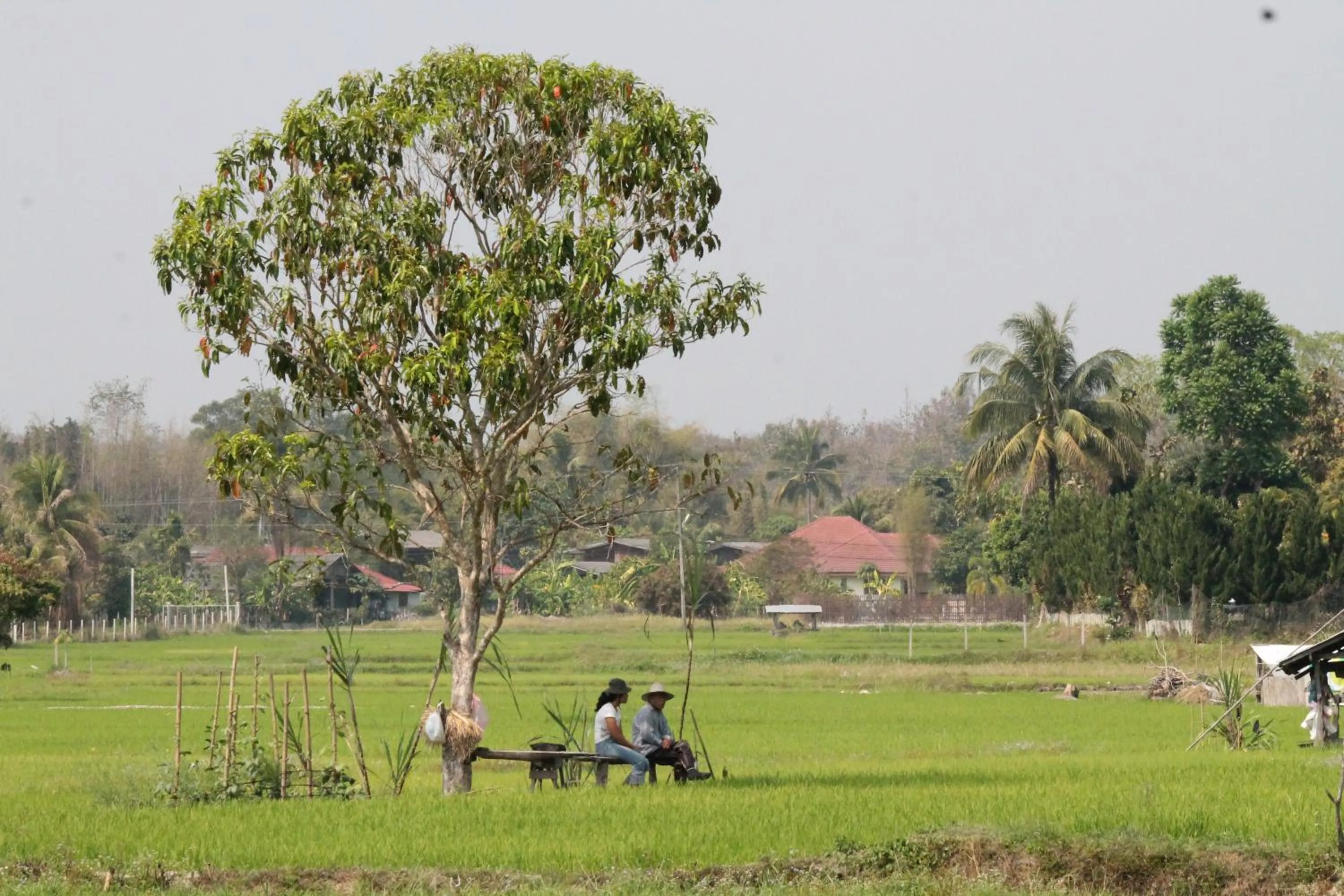 Garden in Country Retreat