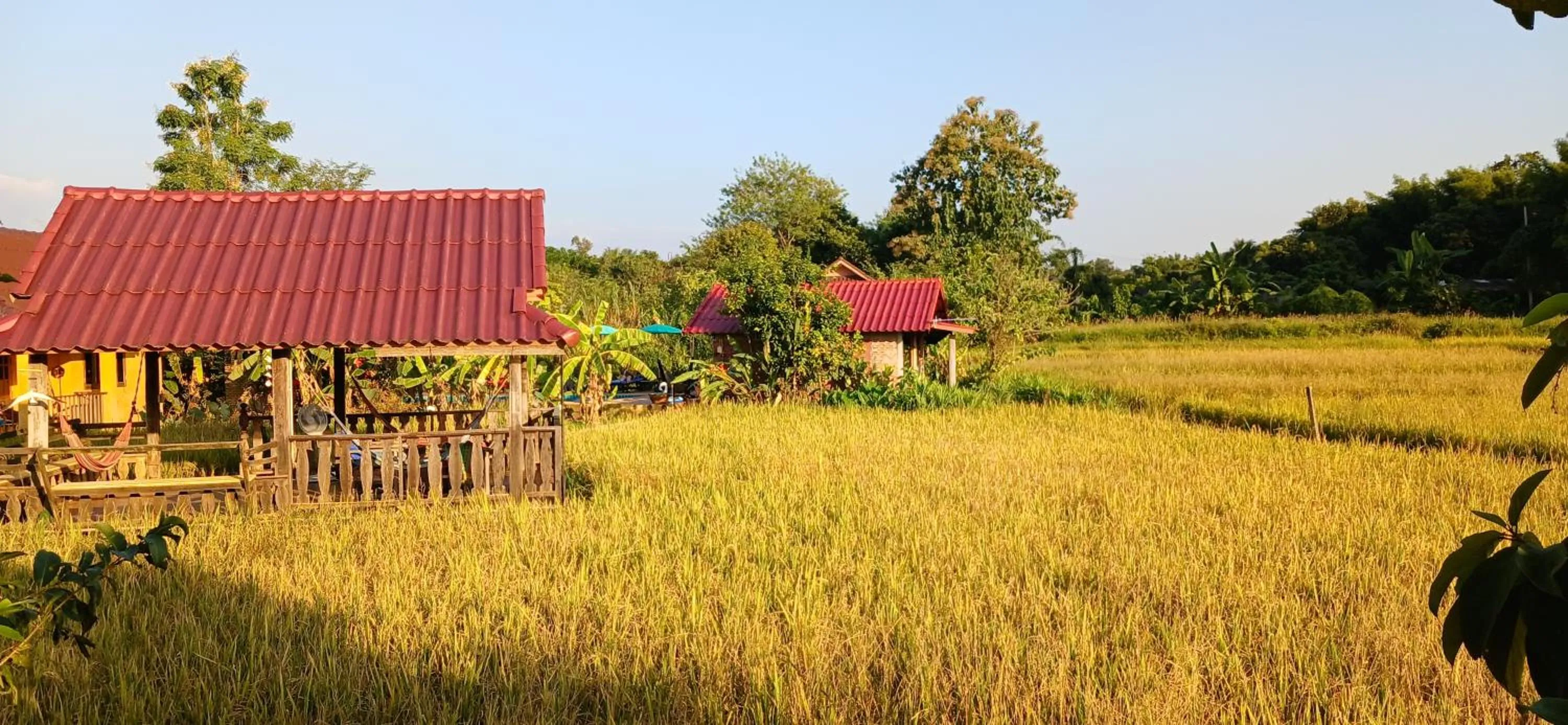 Garden in Country Retreat