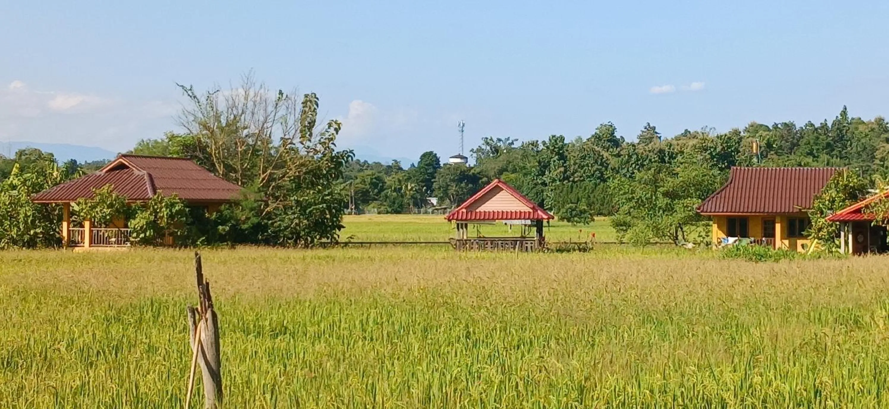 Property building in Country Retreat