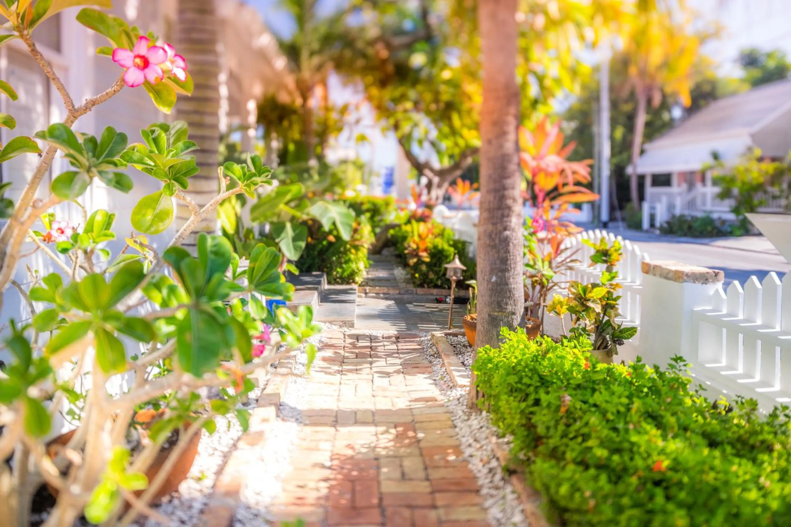 Garden in Duval Inn - Key West