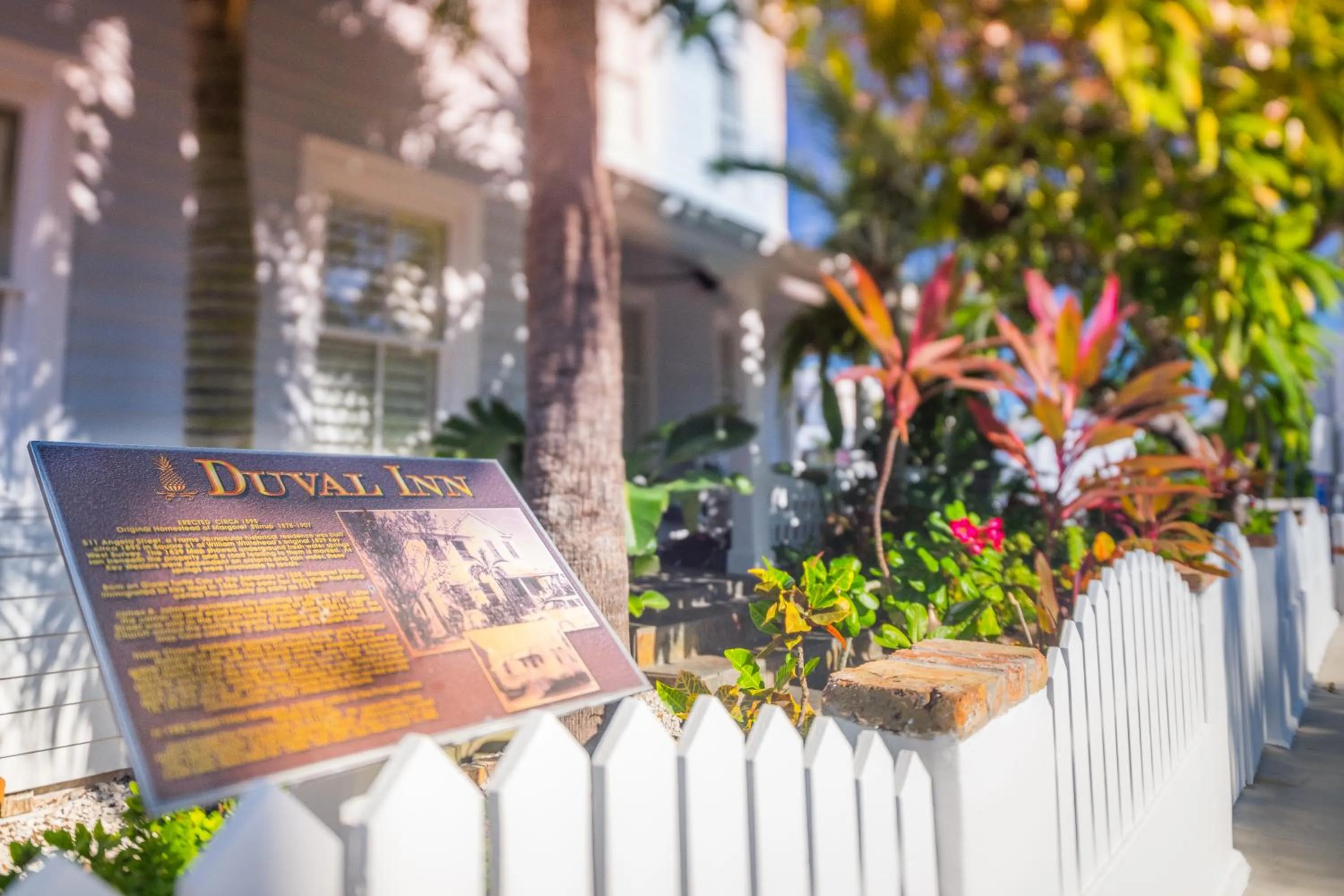 Logo/Certificate/Sign in Duval Inn - Key West