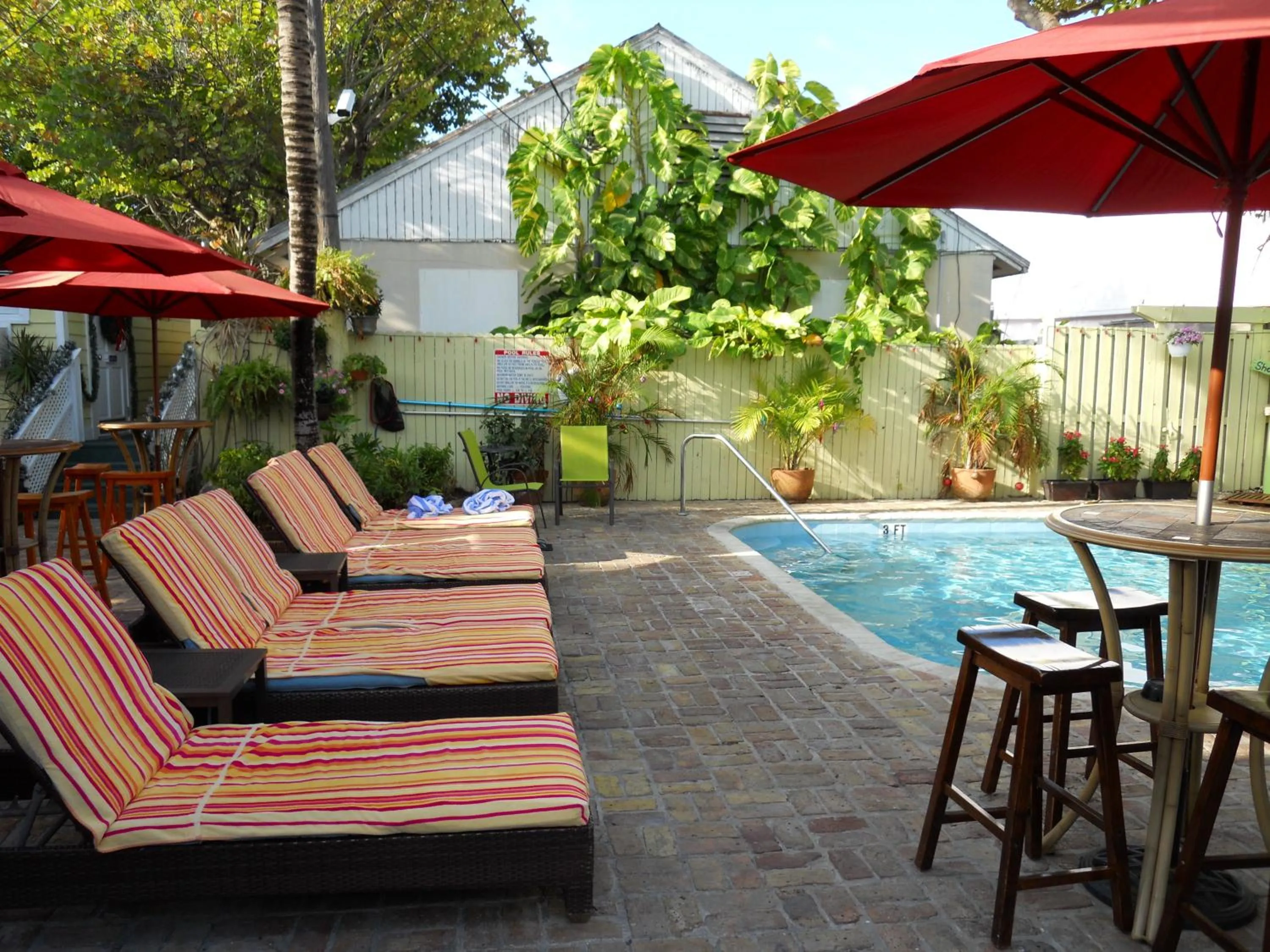 Swimming pool in Duval Inn - Key West