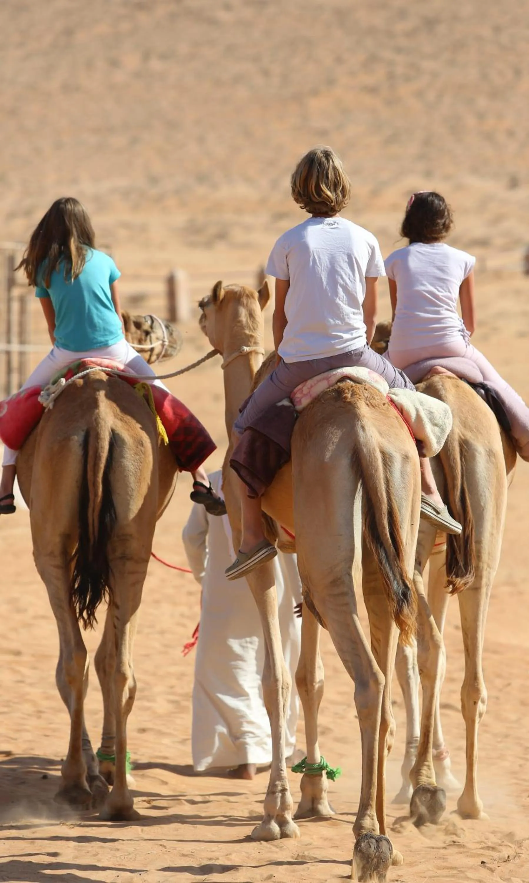 Activities in Thousand Nights Camp