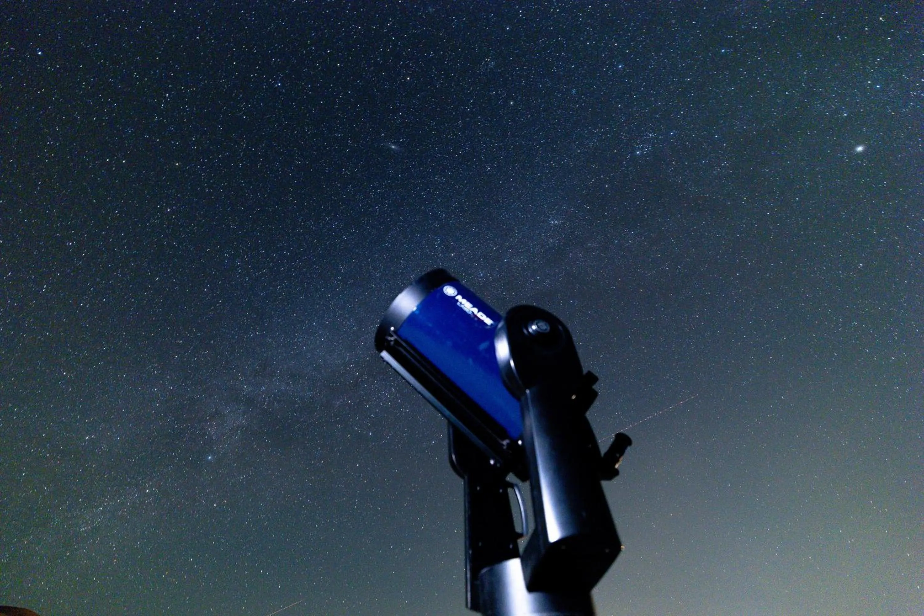 Activities in Thousand Nights Camp