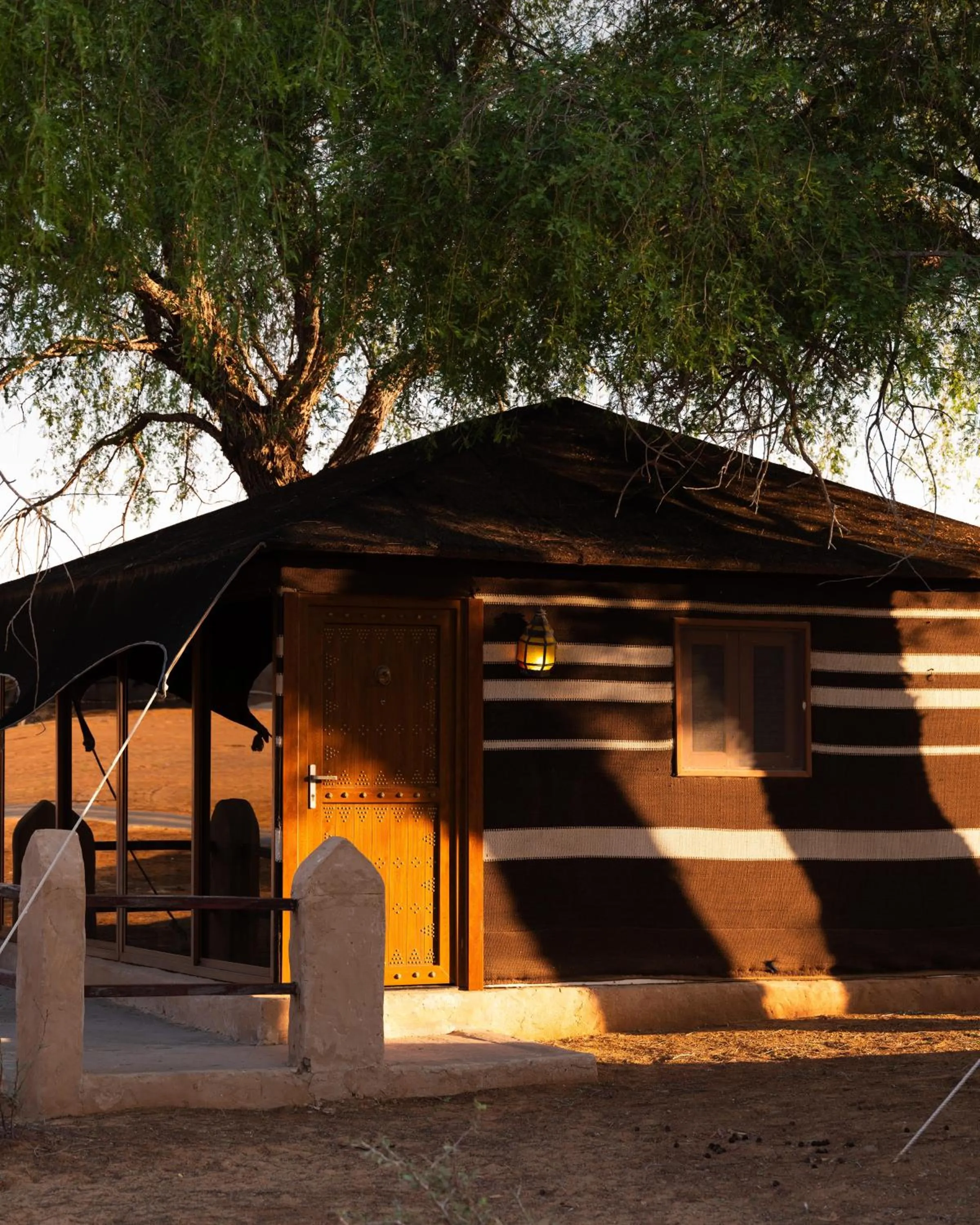 Bed in Thousand Nights Camp