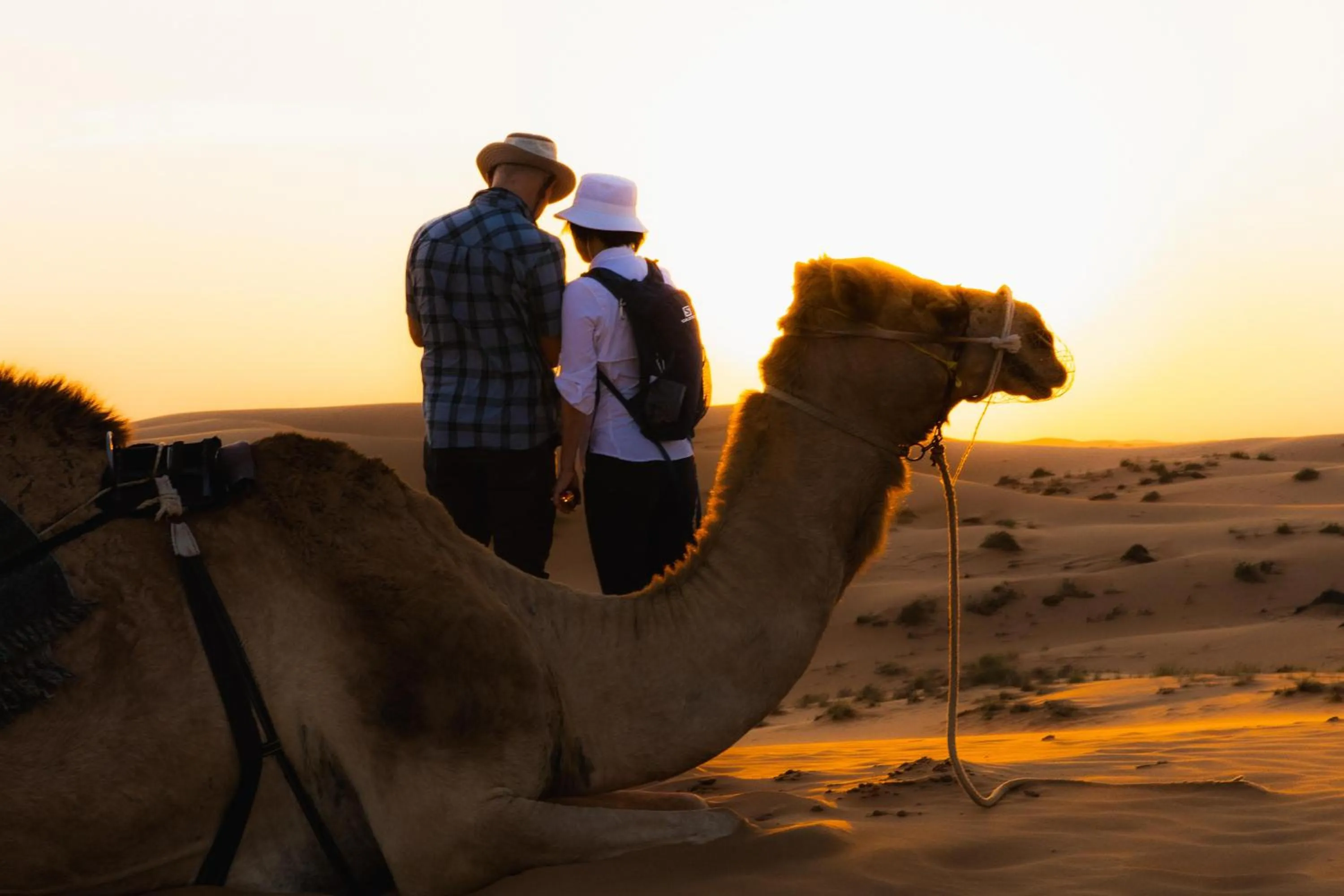 Activities in Thousand Nights Camp