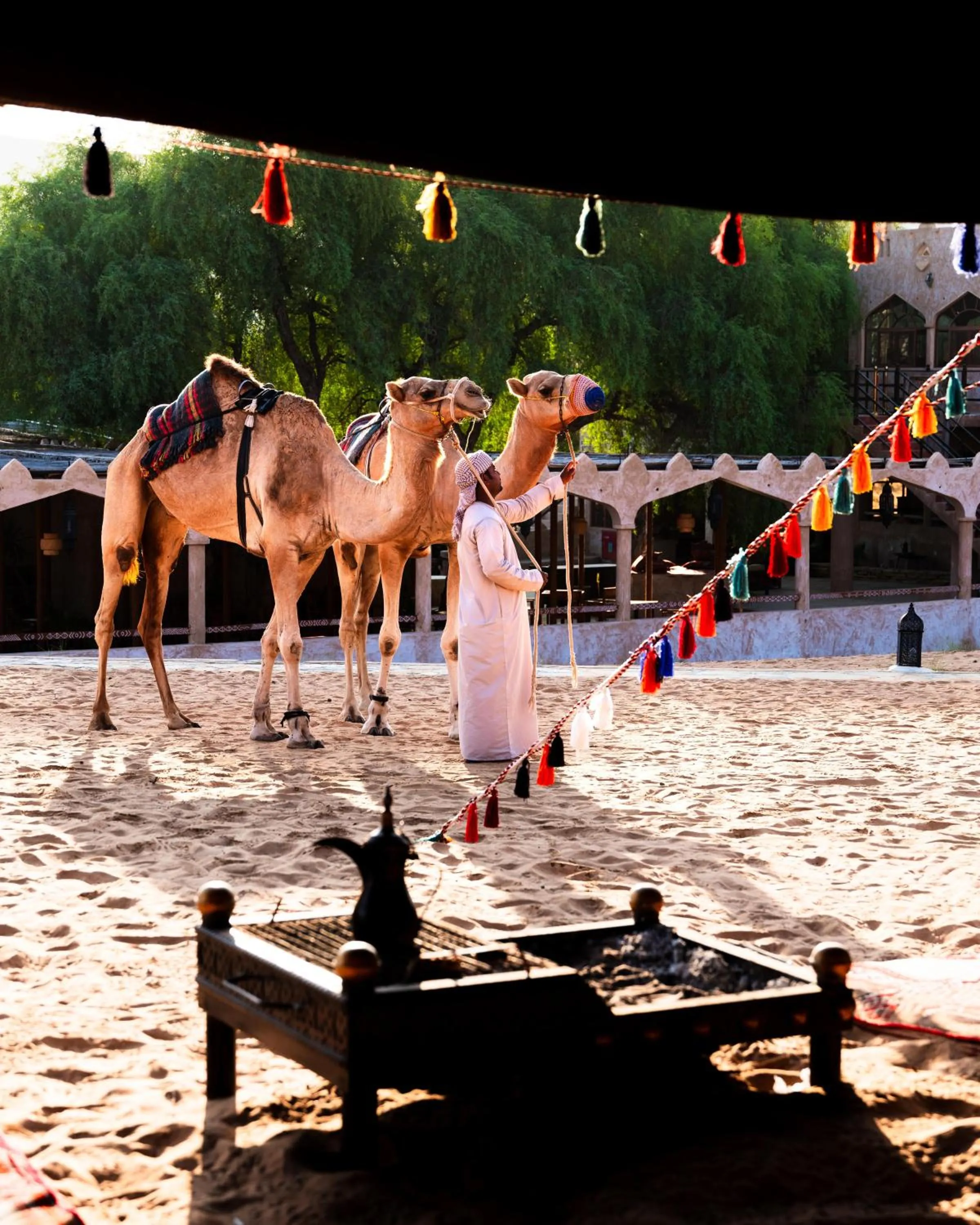 Activities in Thousand Nights Camp
