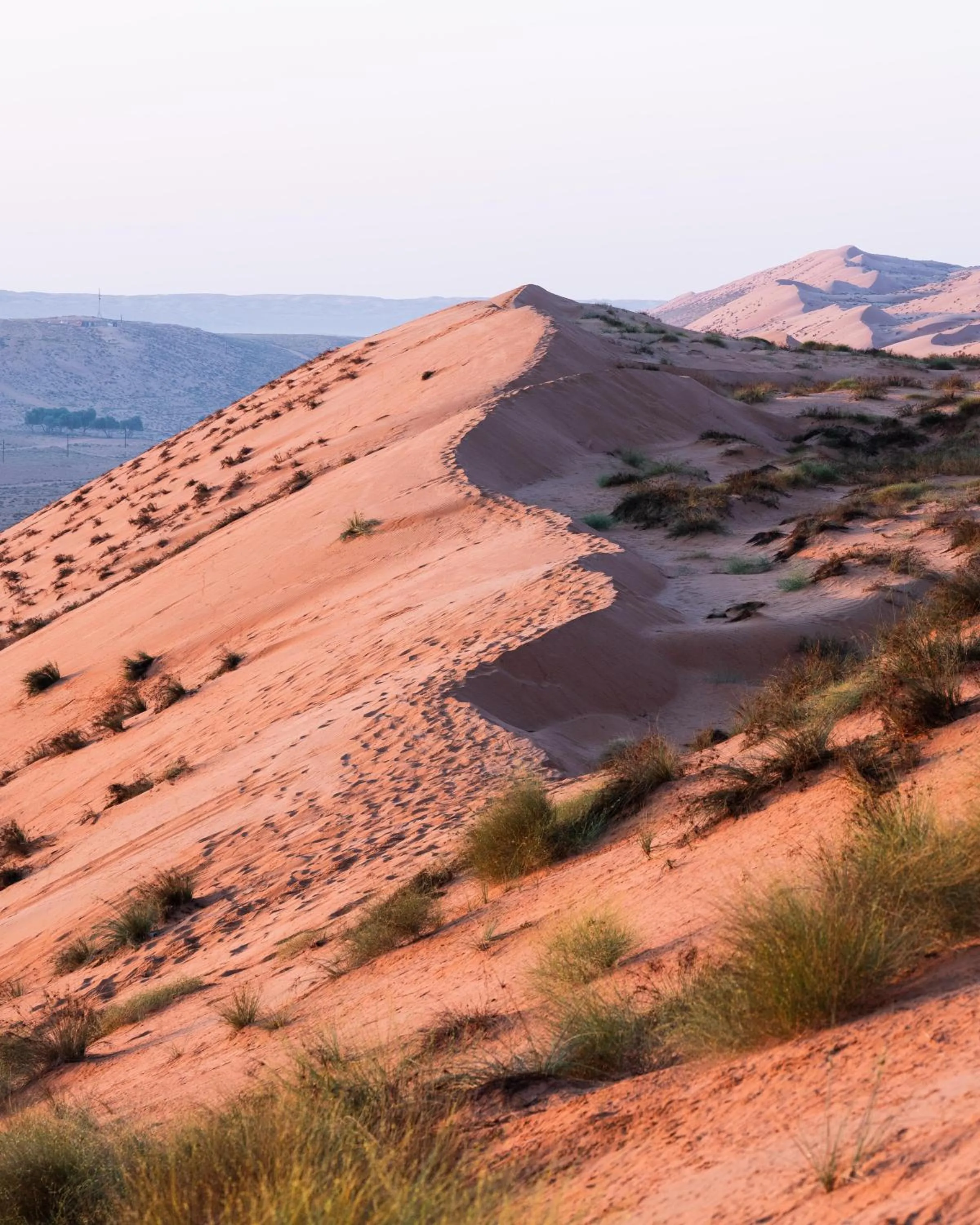 Natural landscape in Thousand Nights Camp