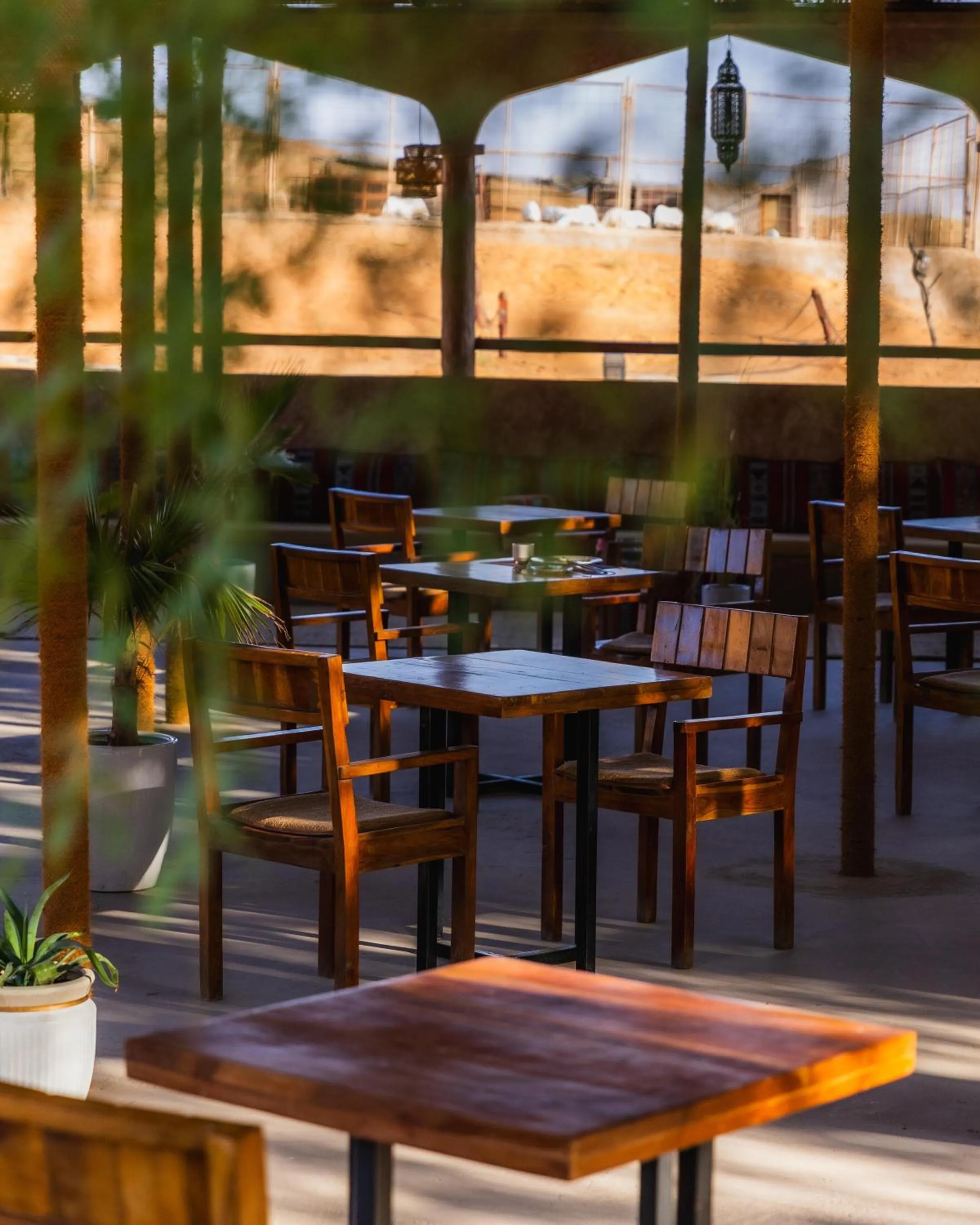 Restaurant/places to eat in Thousand Nights Camp