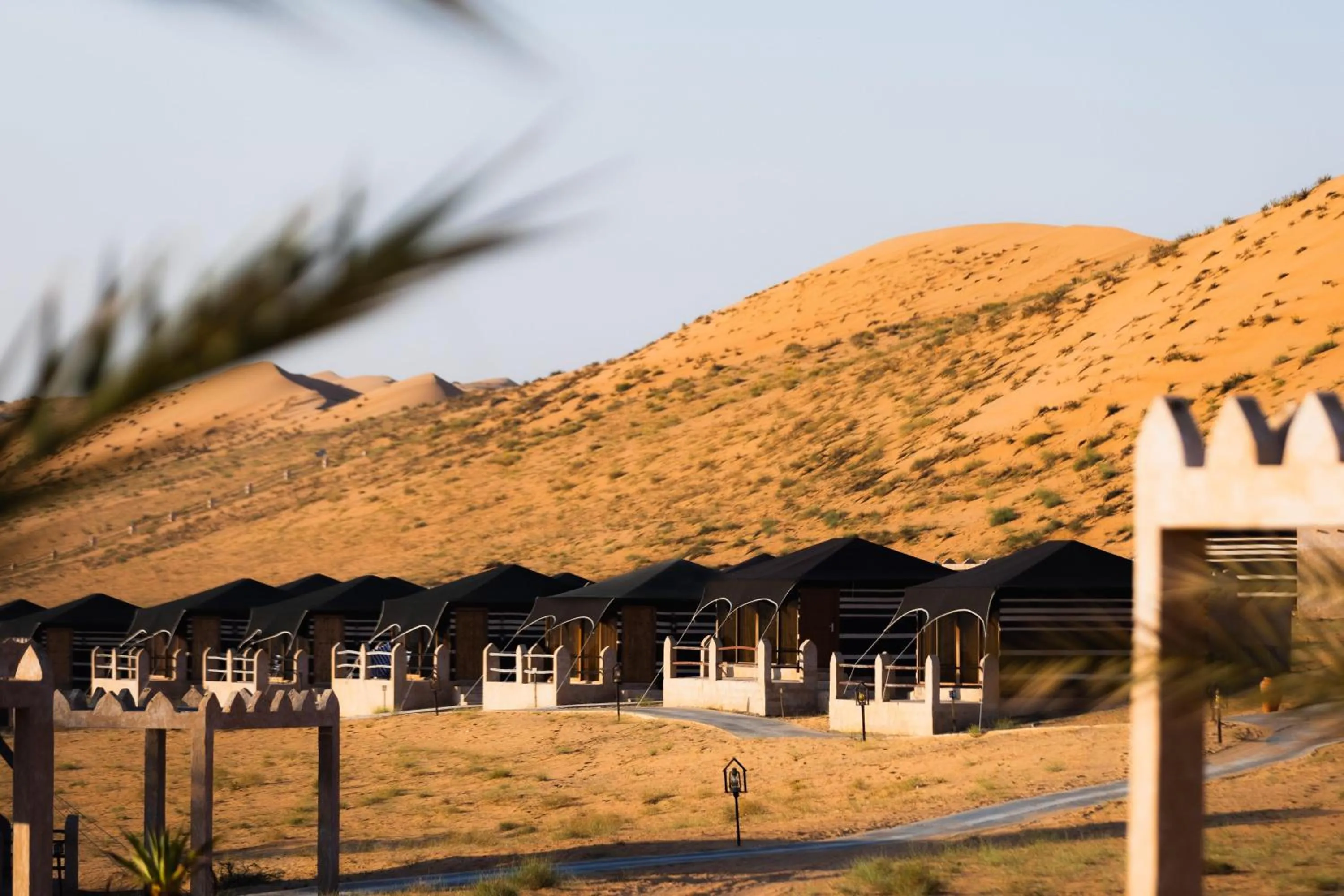 Photo of the whole room in Thousand Nights Camp