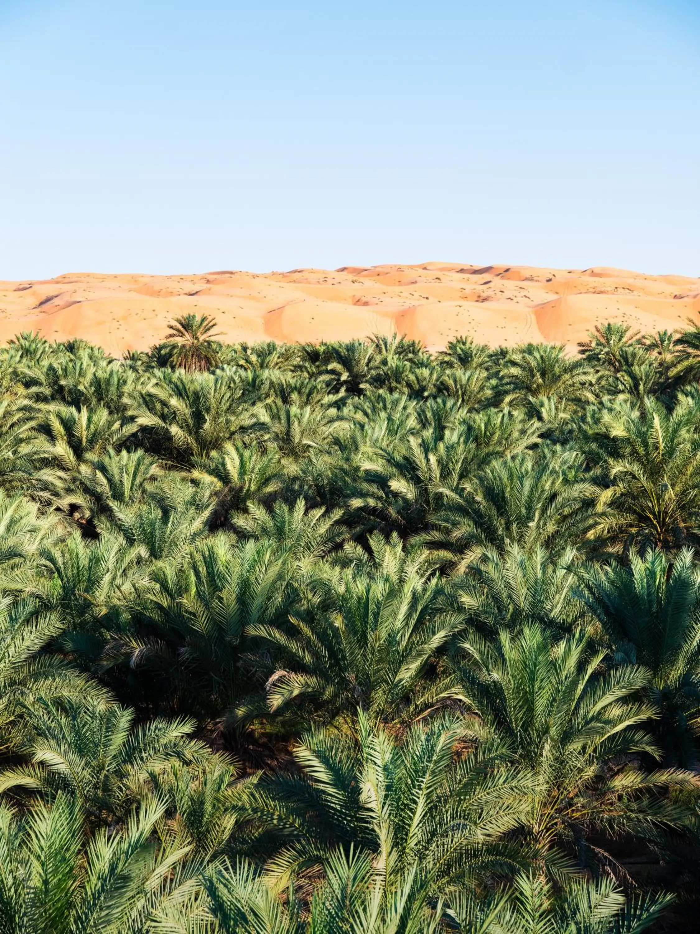 Natural landscape in Thousand Nights Camp