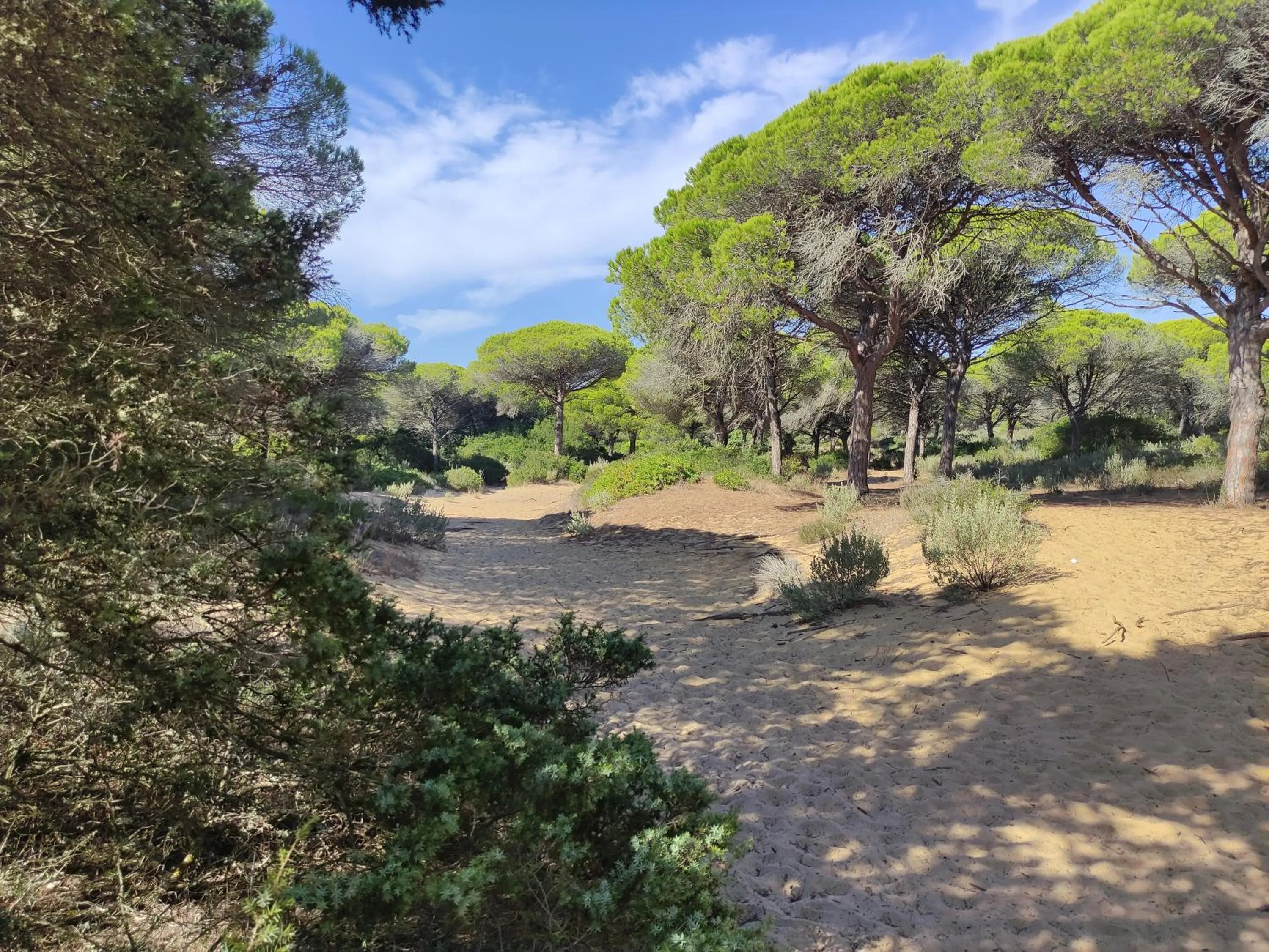 Natural landscape in Bungalows Los Castillejos