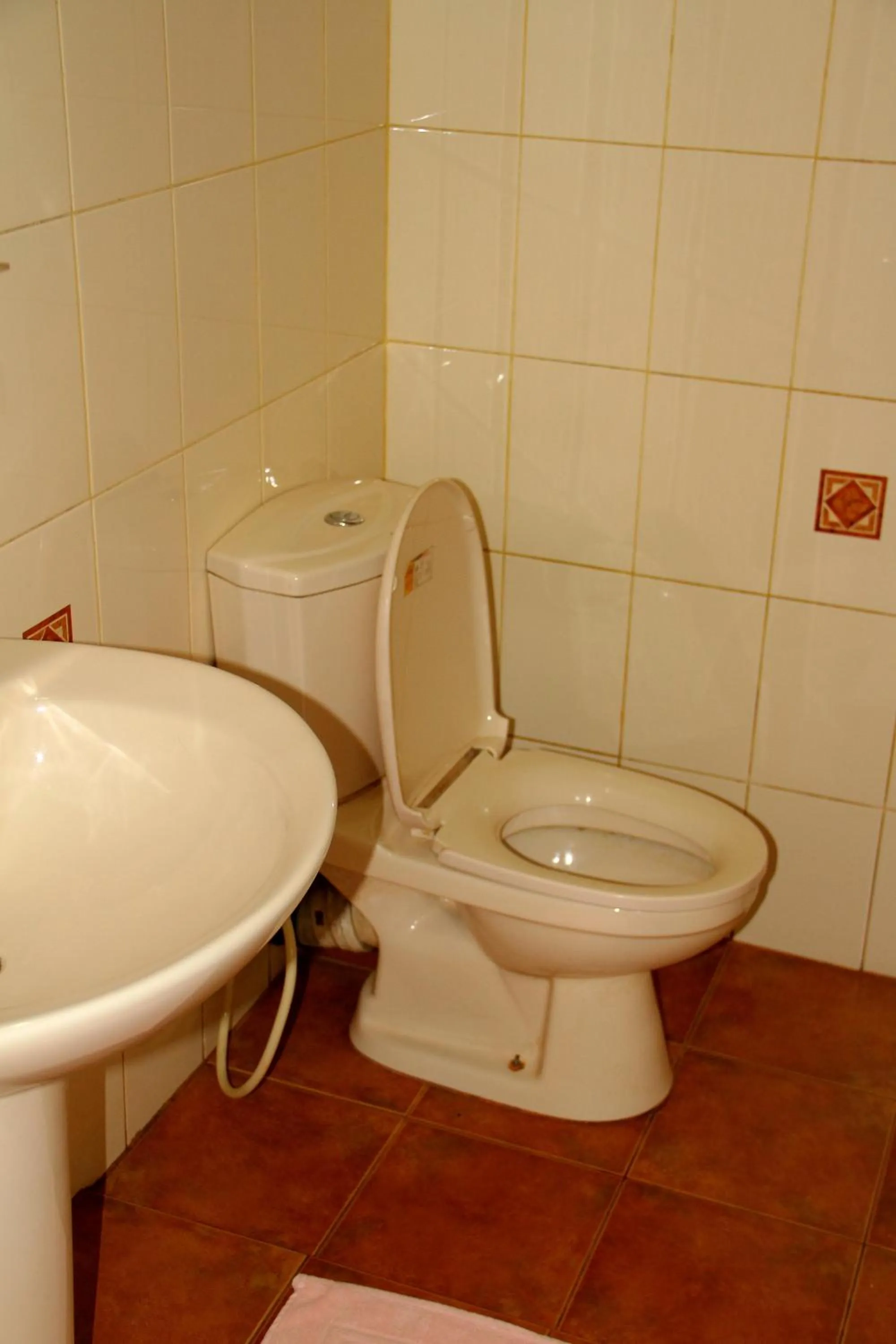 Toilet in House of Leisure