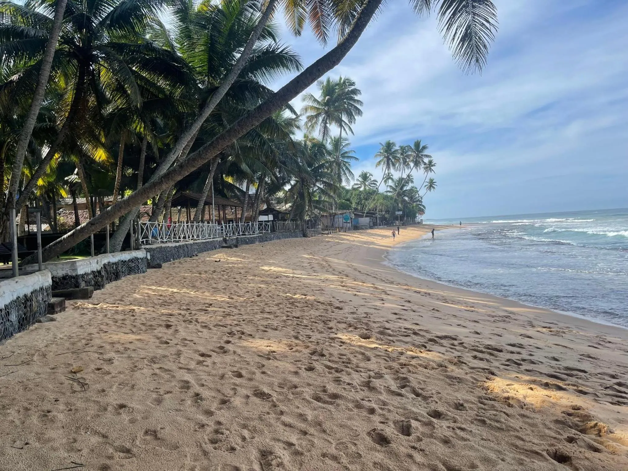 Beach in Curry Bowl Restaurant & Turtles Rest