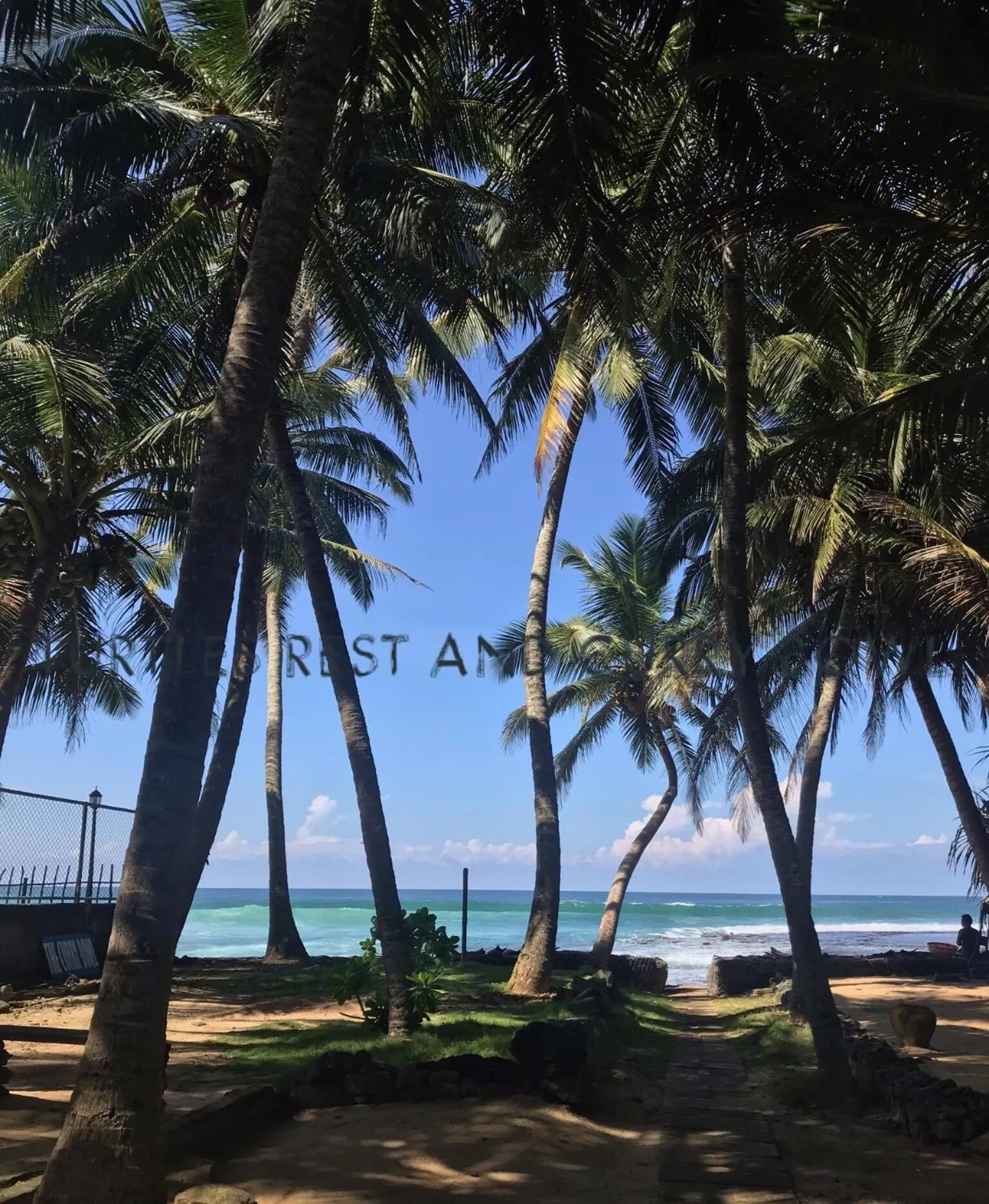 Garden in Curry Bowl Restaurant & Turtles Rest