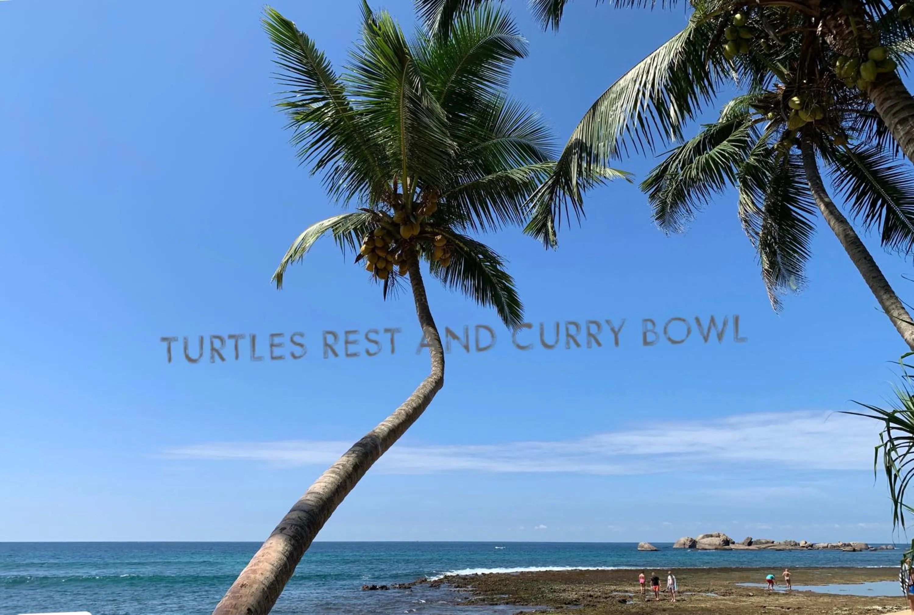 Curry Bowl Restaurant & Turtles Rest