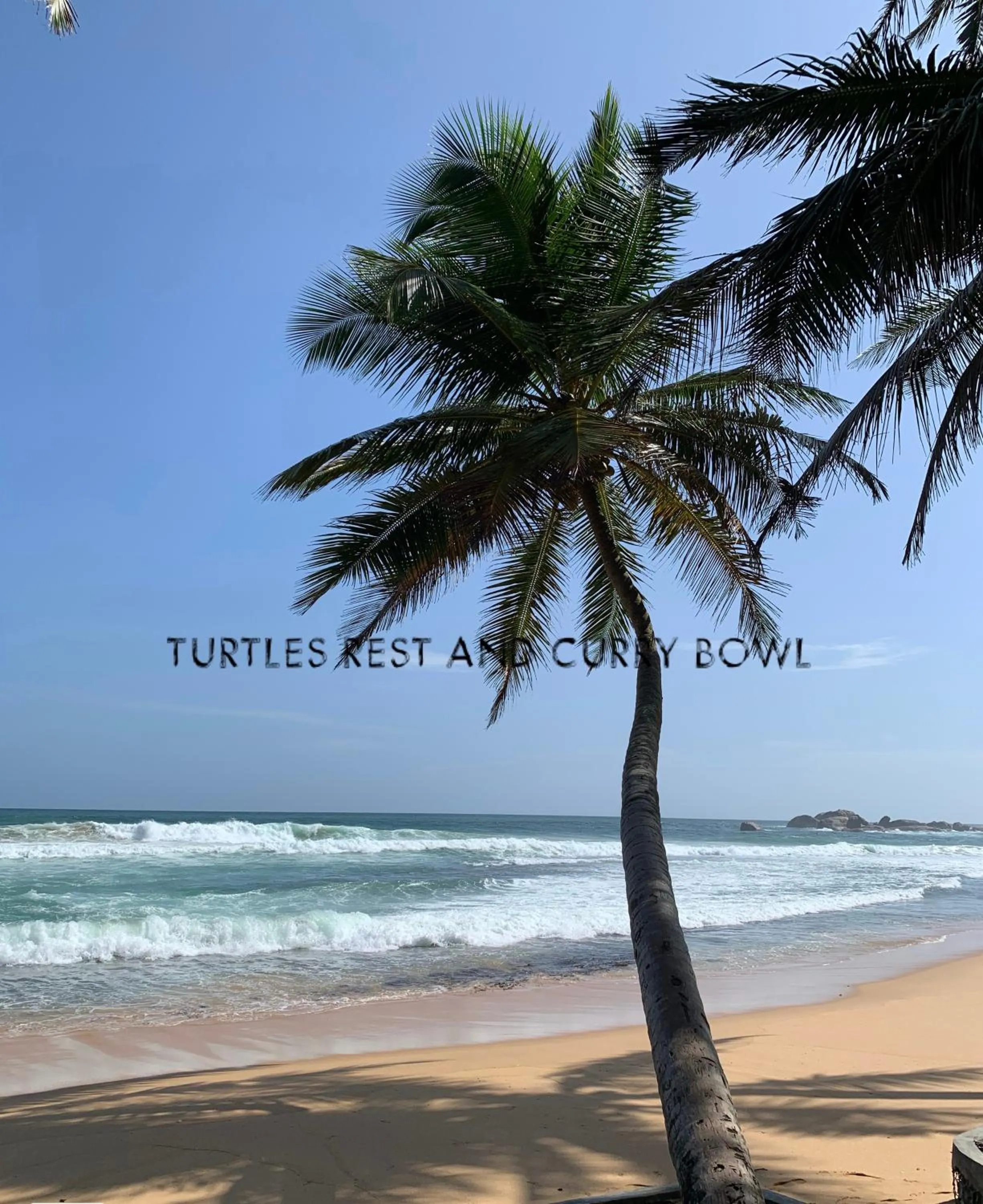 Curry Bowl Restaurant & Turtles Rest