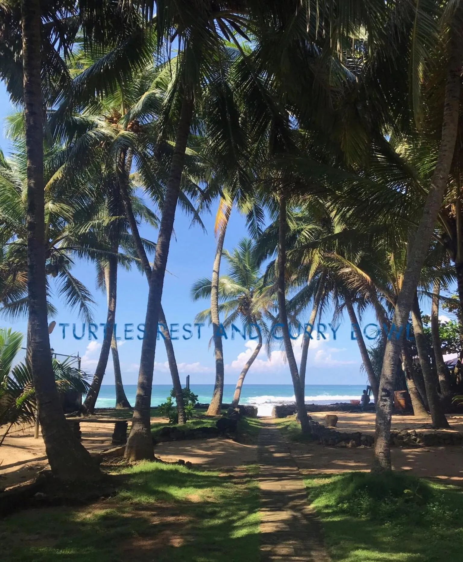 Garden in Curry Bowl Restaurant & Turtles Rest