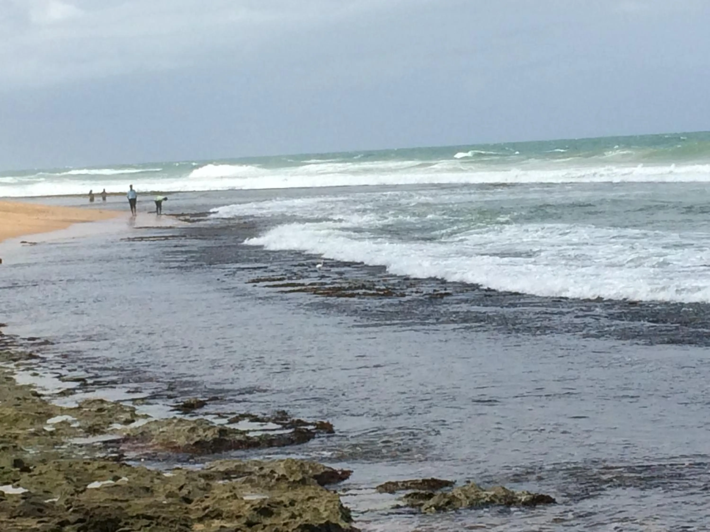 Beach in Curry Bowl Restaurant & Turtles Rest