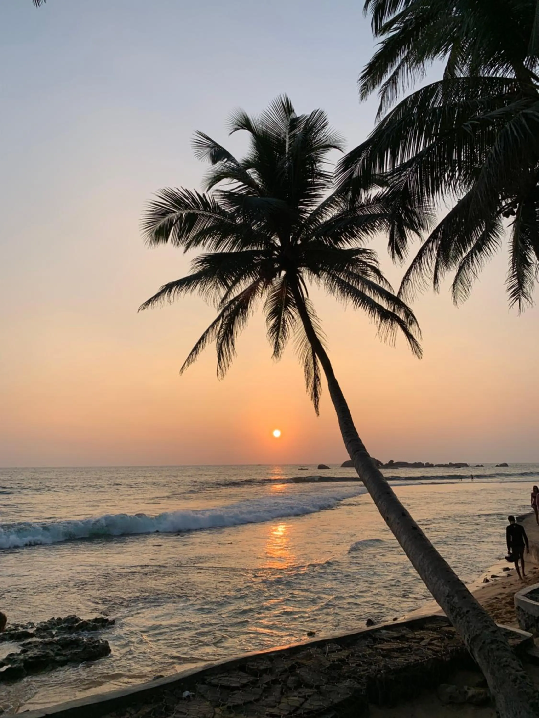 Beach in Curry Bowl Restaurant & Turtles Rest