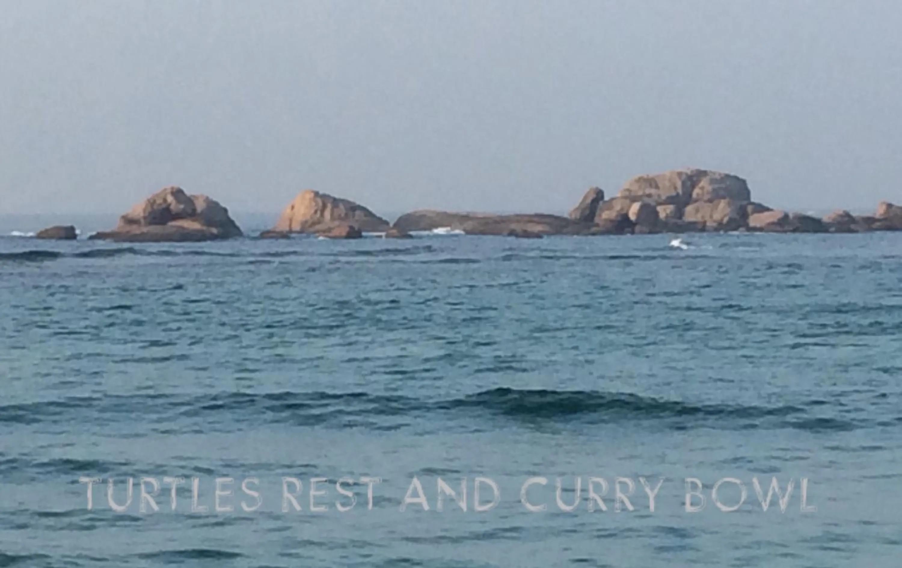 Garden view in Curry Bowl Restaurant & Turtles Rest