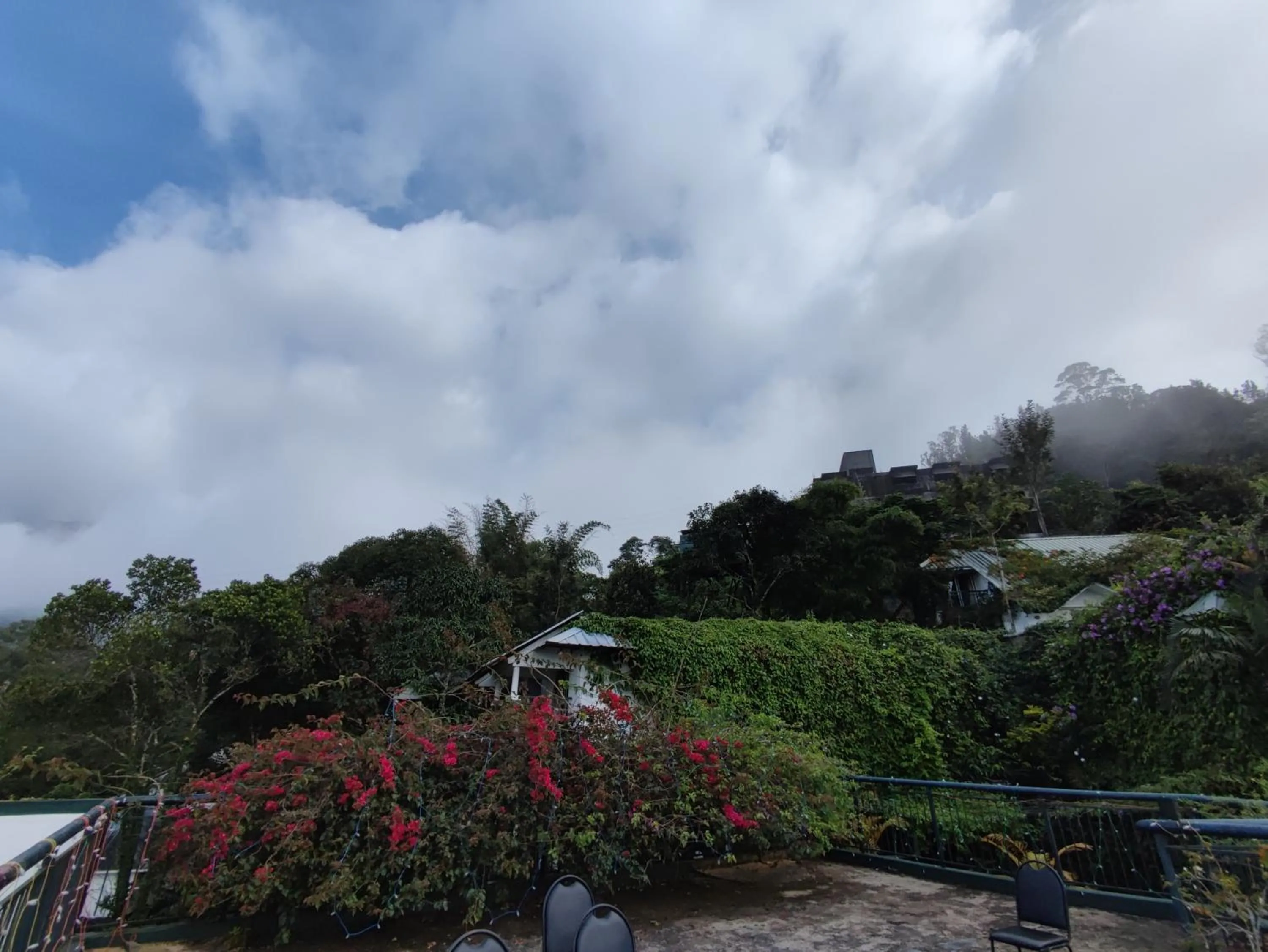 Garden in Munnar Tea Hills Resort - MTHR