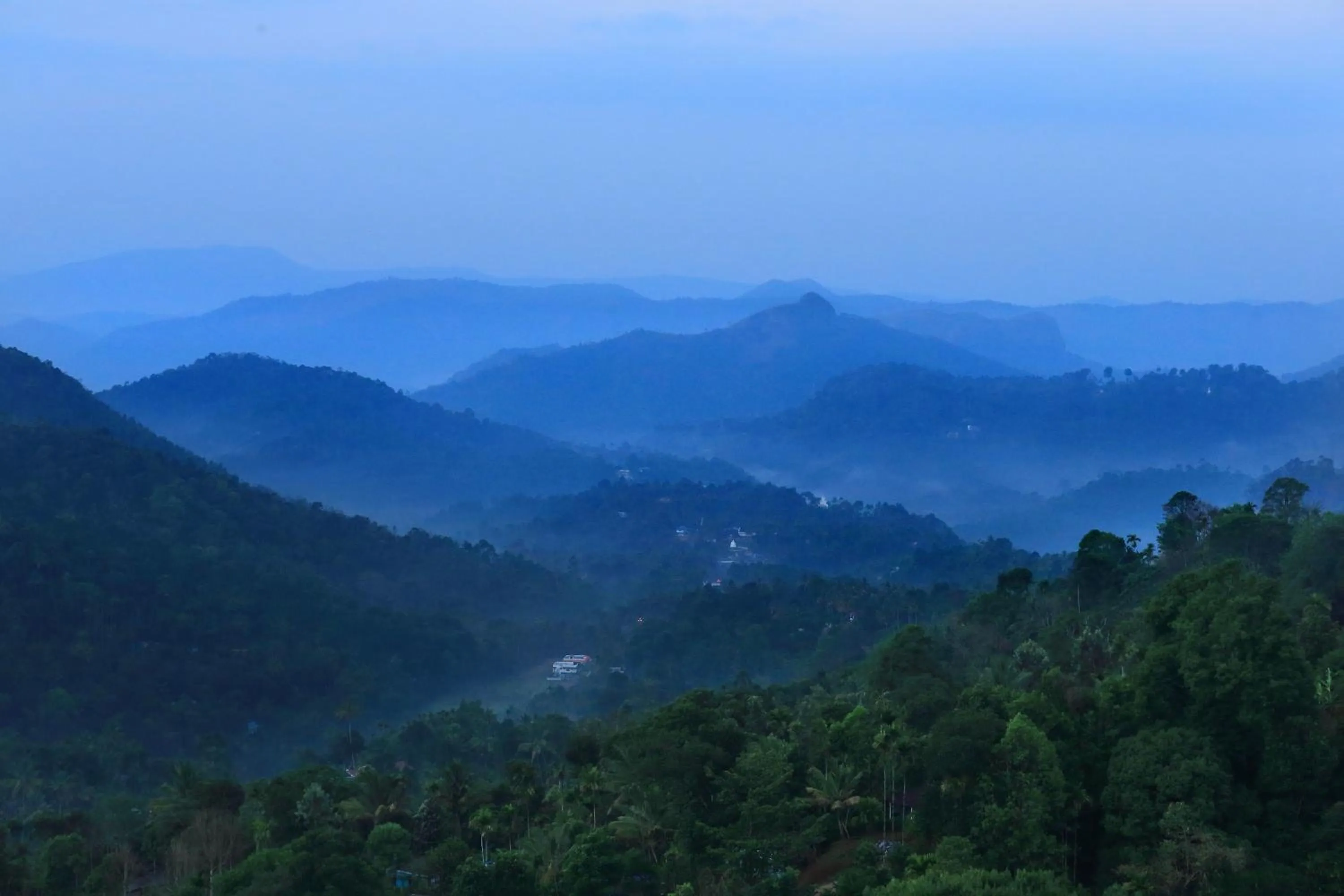Natural landscape in Munnar Tea Hills Resort - MTHR