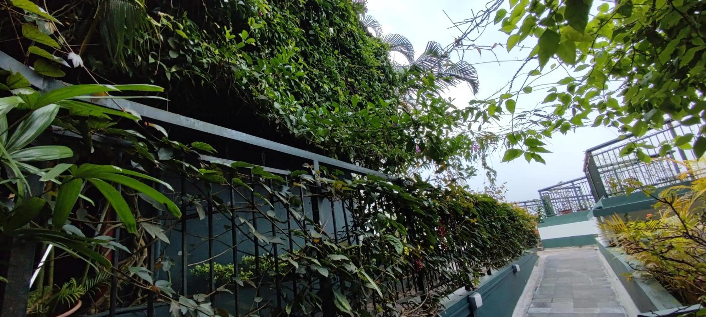 Garden in Munnar Tea Hills Resort - MTHR