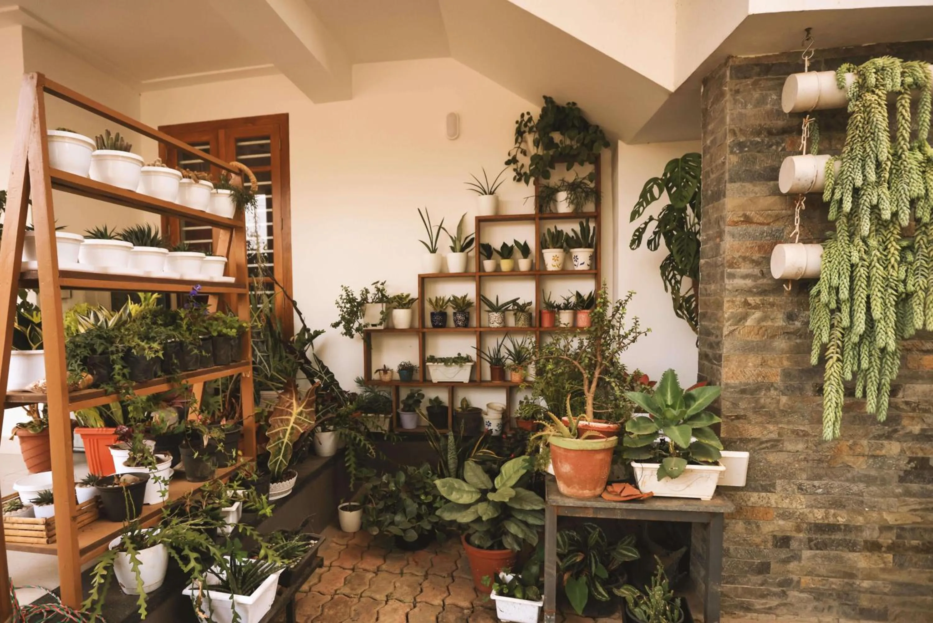 Garden in Mistygreen Homestay Thekkady